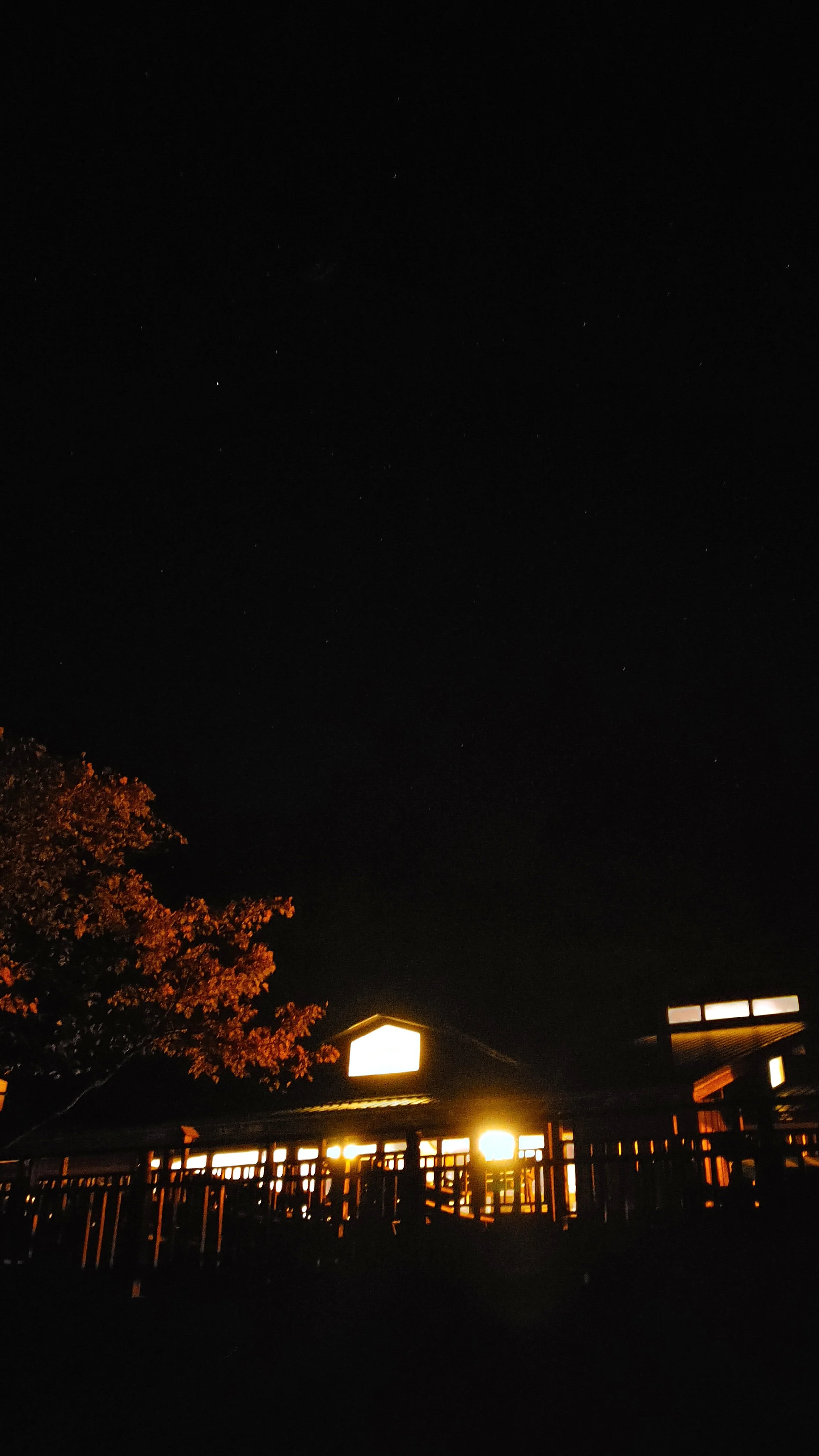 RC at night 01.jpg