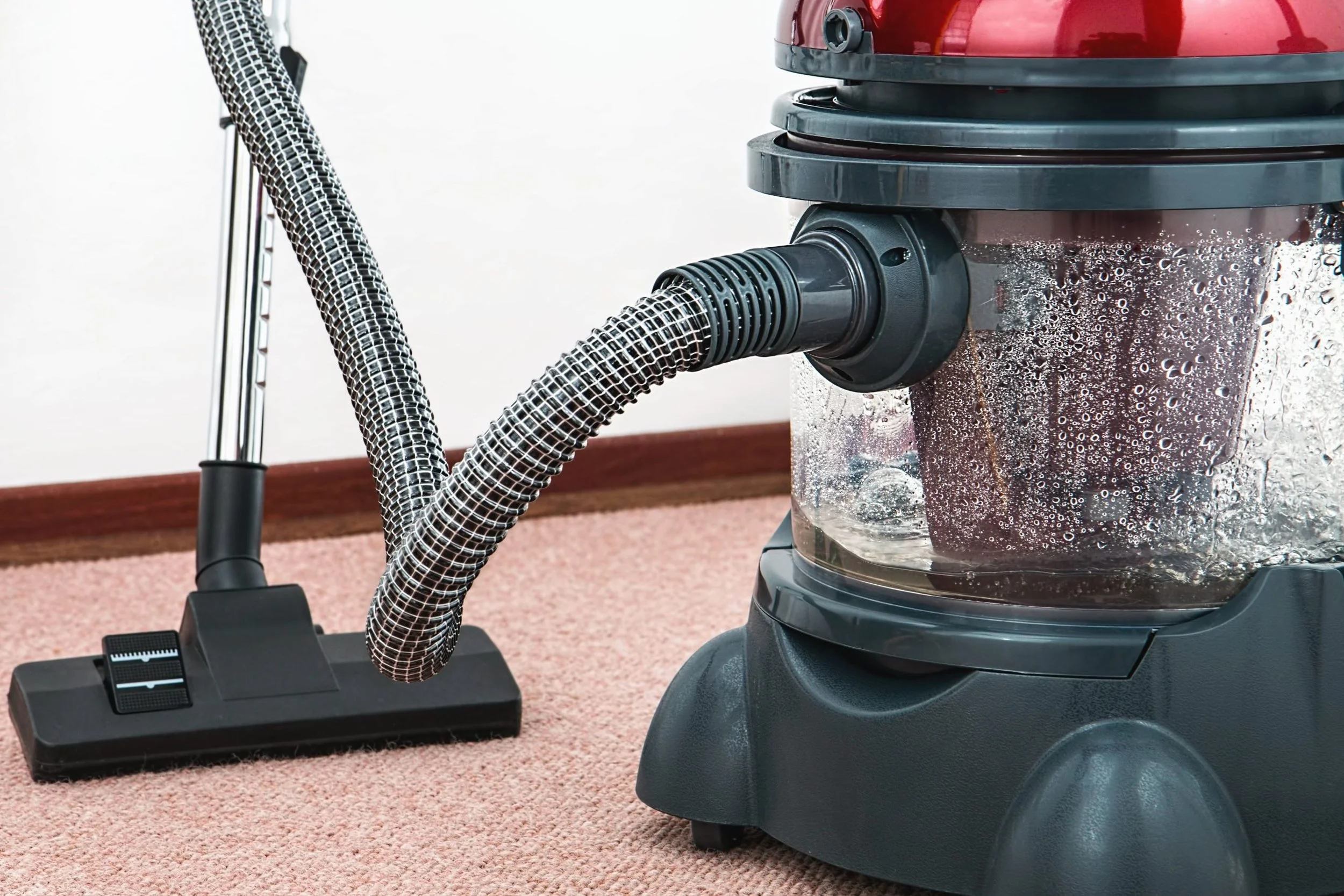 Vacuum cleaner with a clear container filled with water and dust, a flexible hose, and a power cord on a beige carpet.