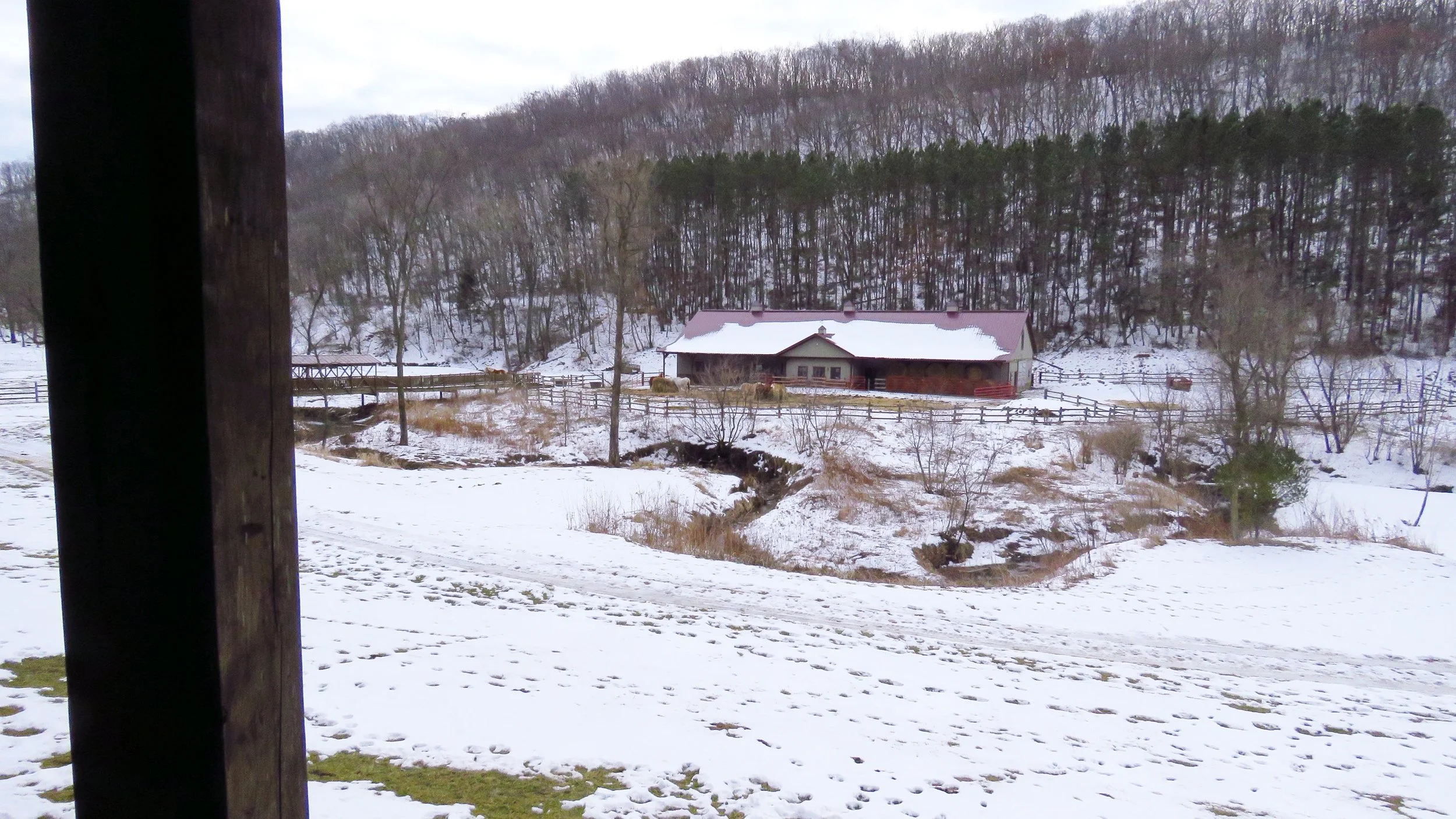 View from a Log Cabin's porch