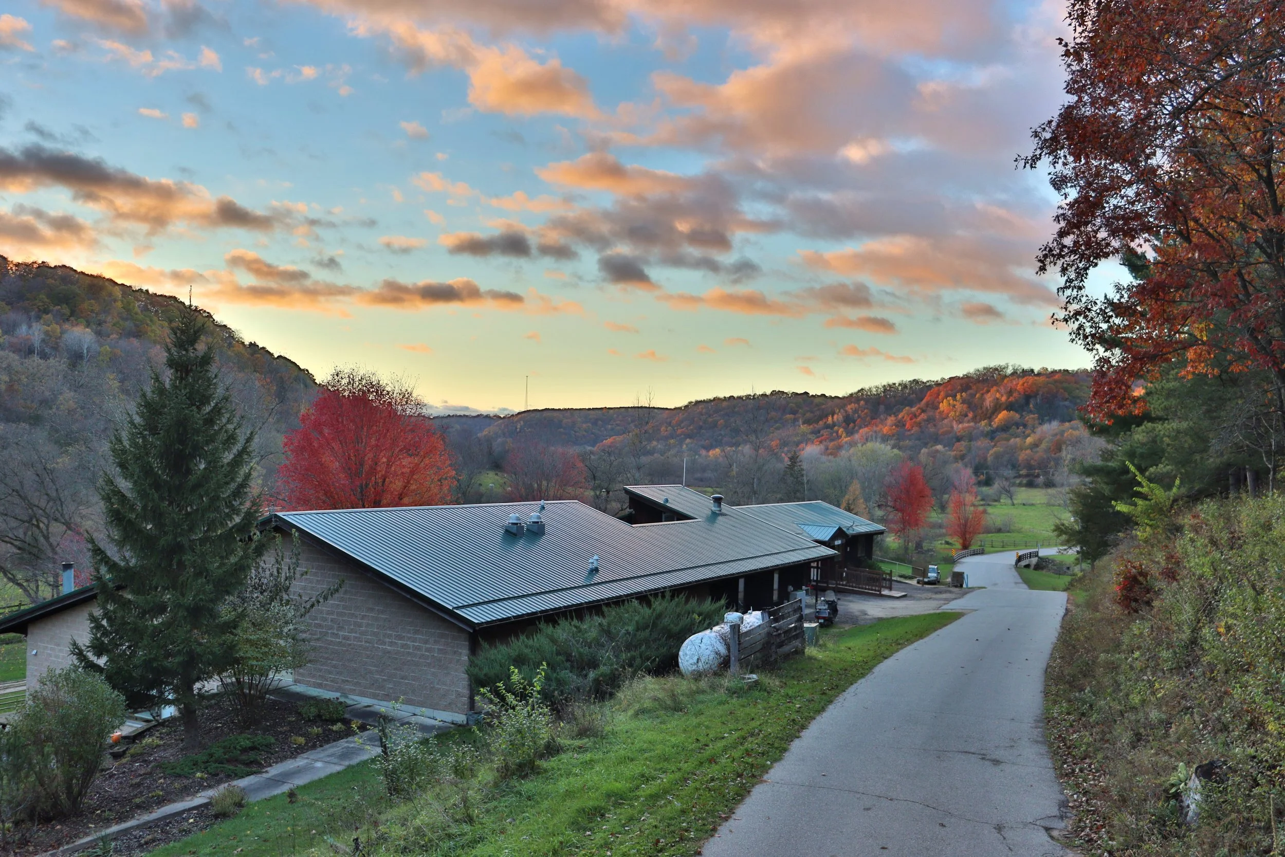 RC (back) in Fall 02.JPG