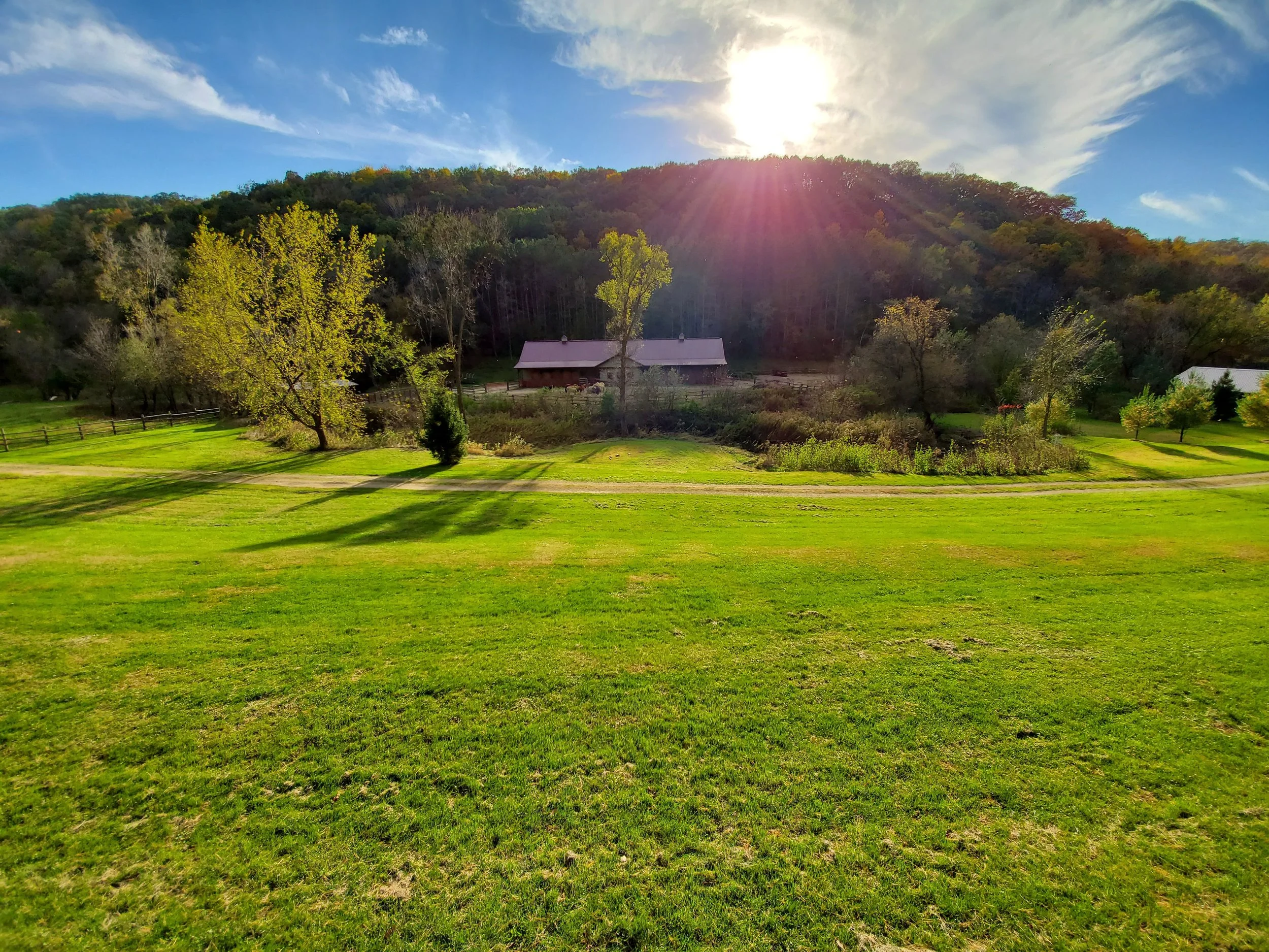 Horse Barn - yard and bluff (Fall).jpg