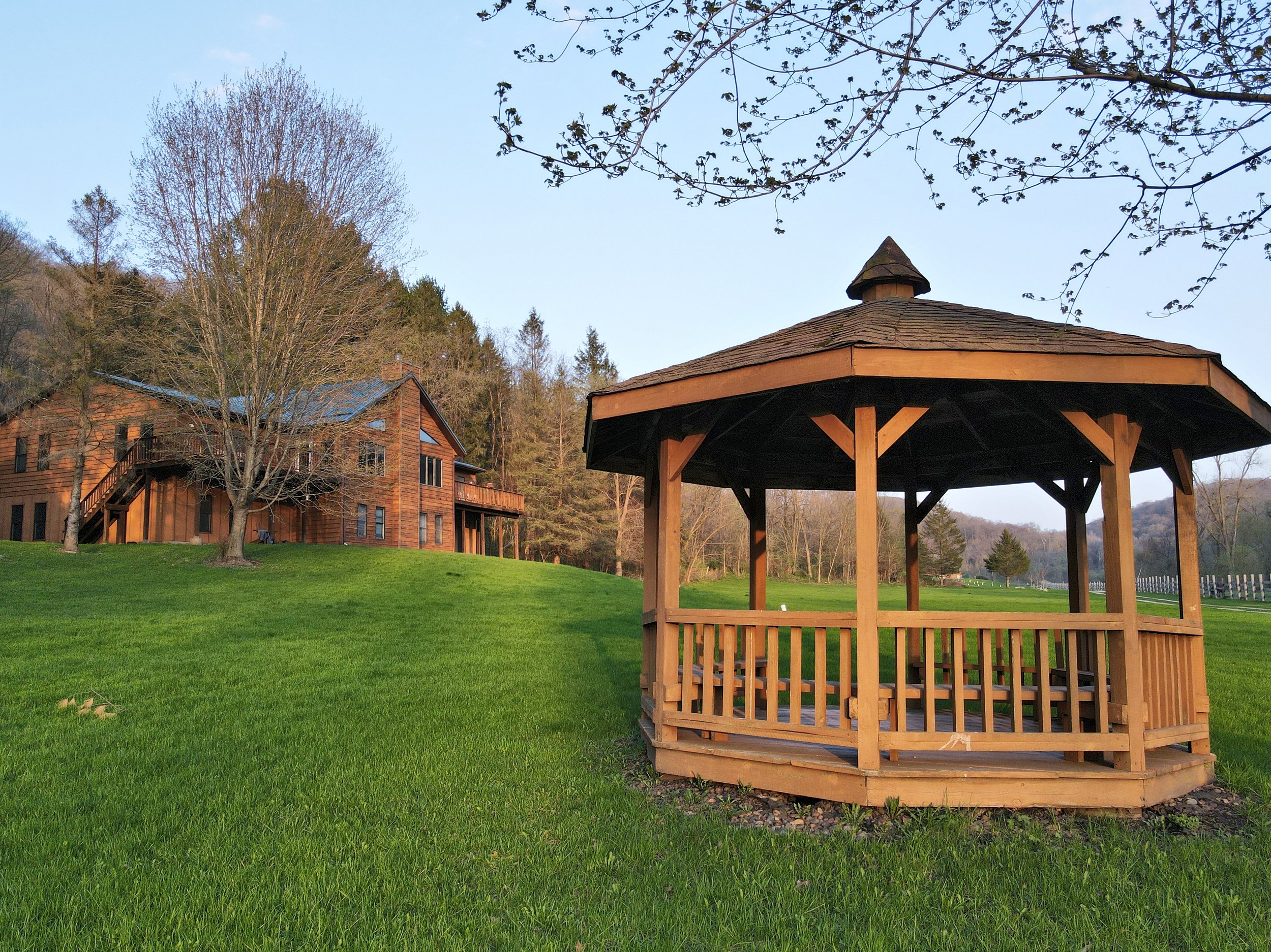 Koi Gazebo 01.JPG