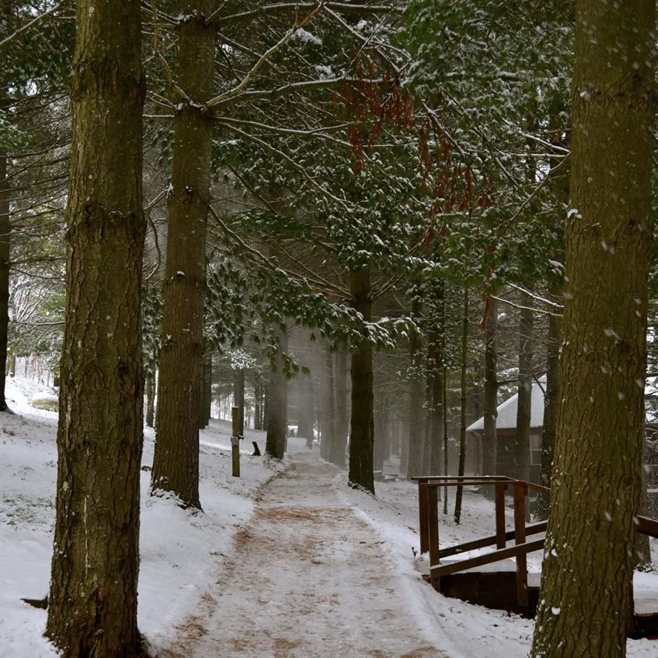 Log Cabin TRAIL in Winter.jpg