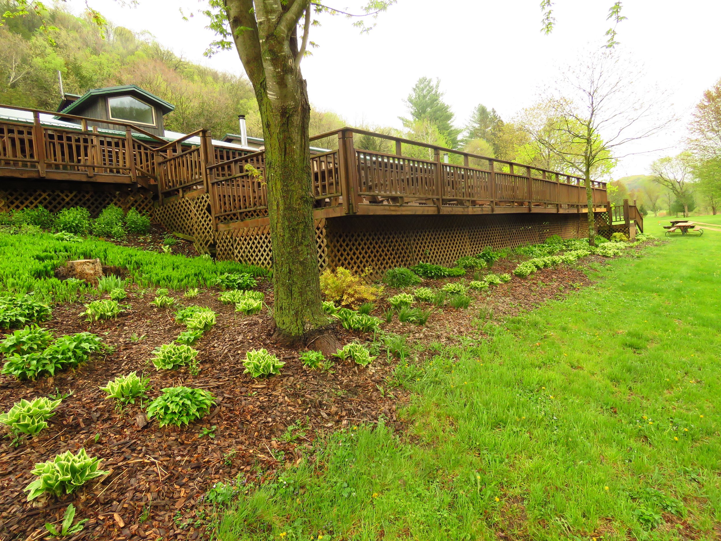 RC lower Deck.JPG