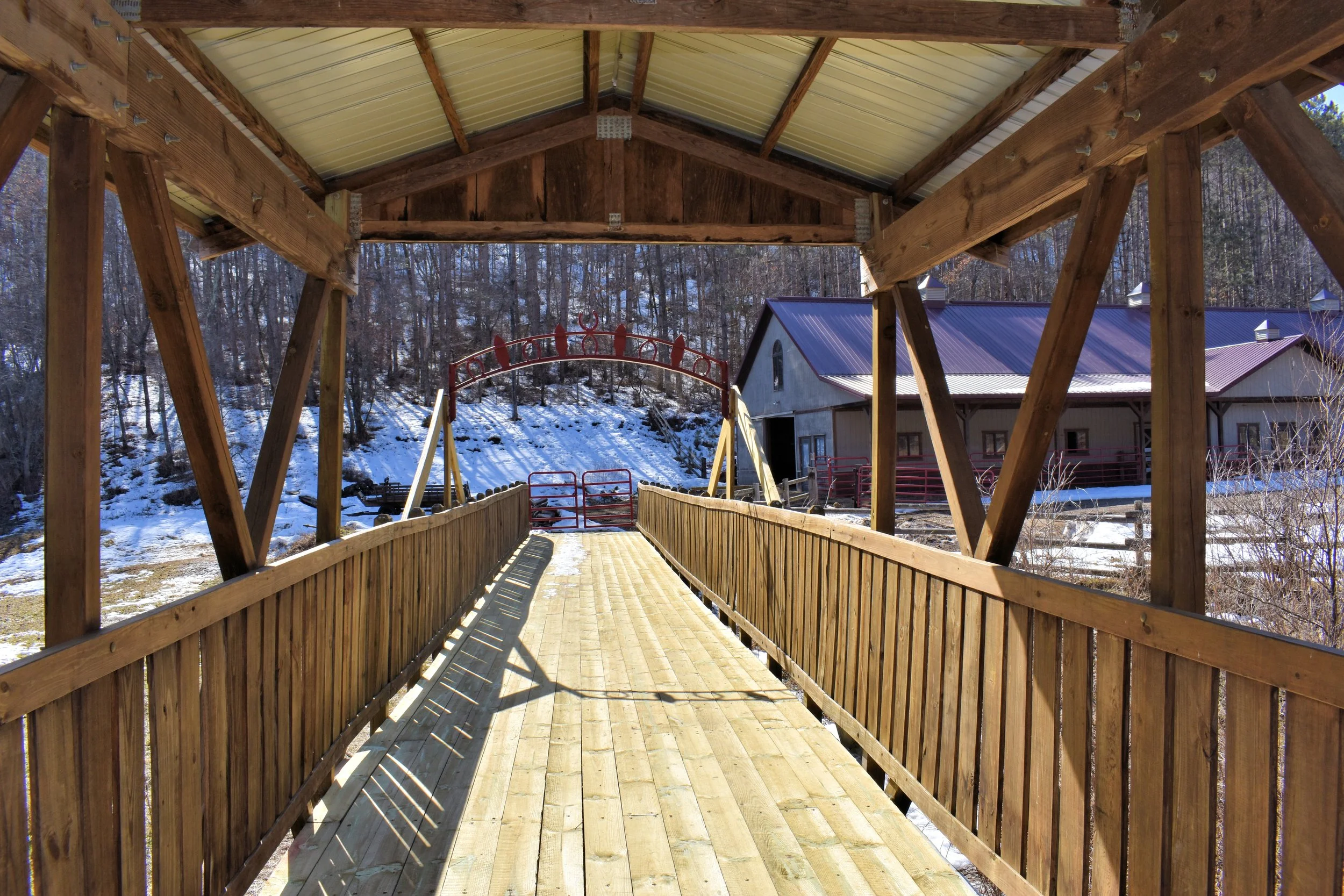 Winter Horse Bridge 01.jpg