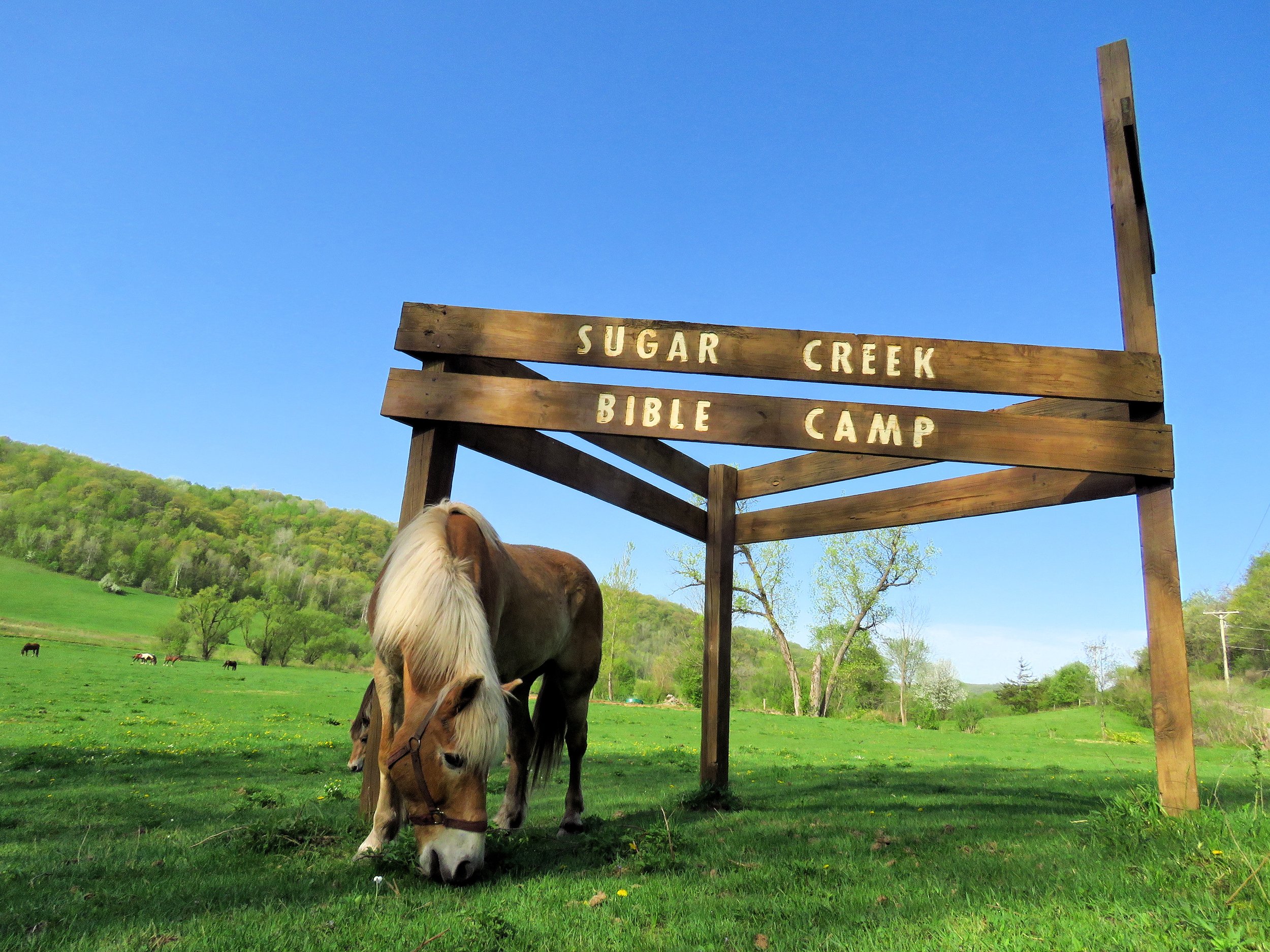 Horses at Entrance Sign 01.jpg