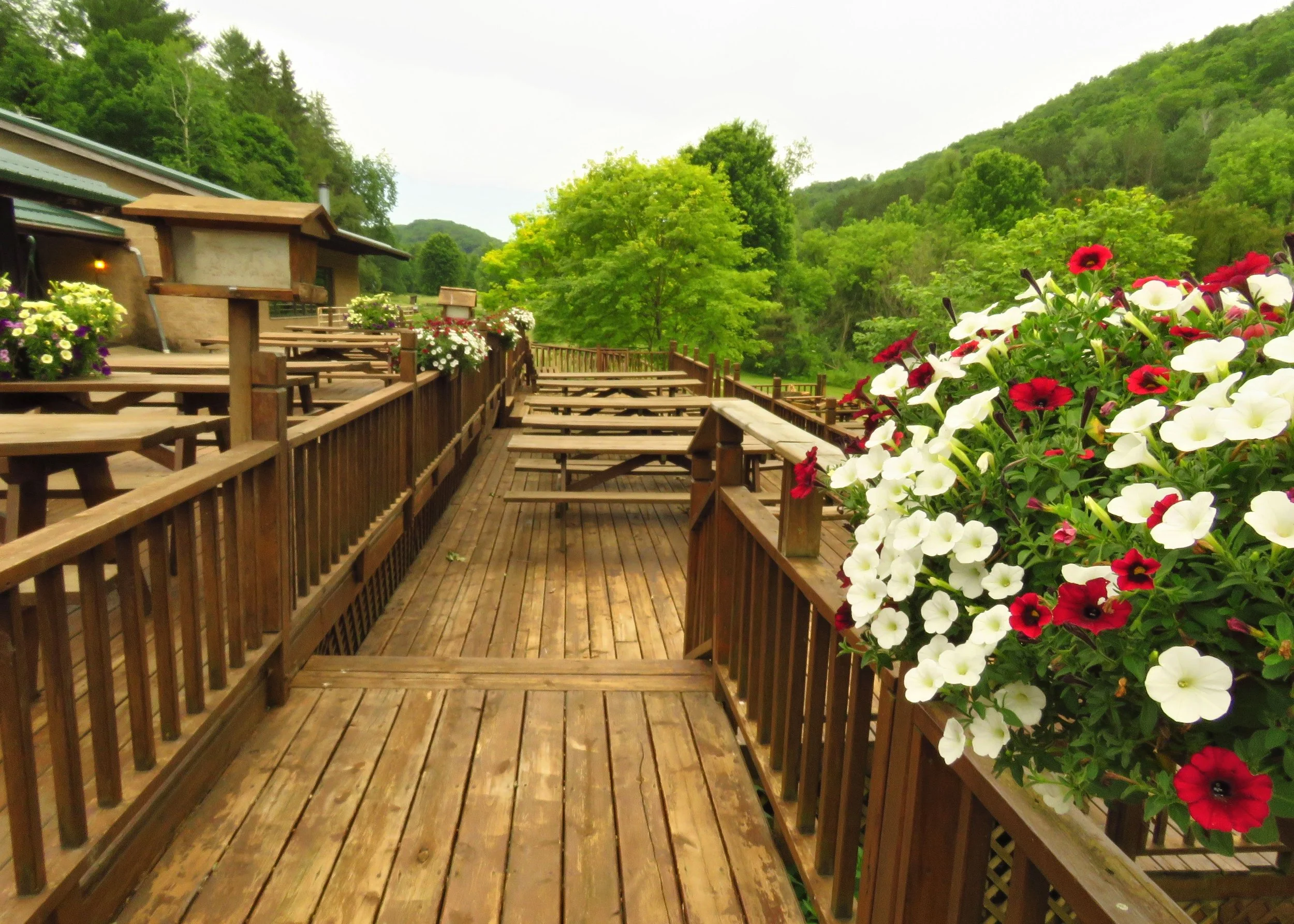 RC Deck 03.jpg