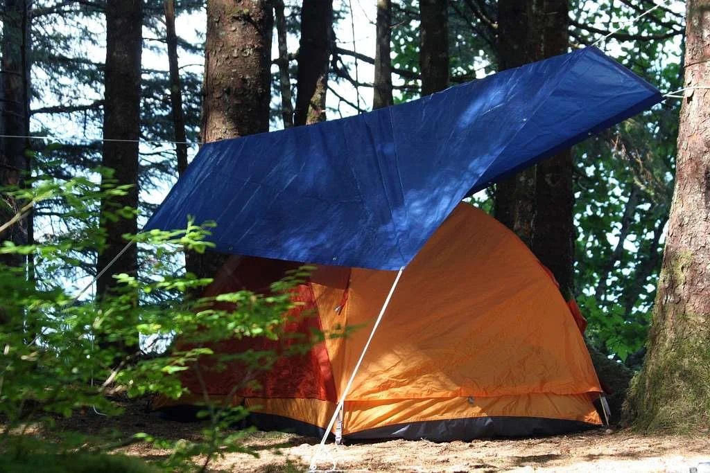 An orange camping tent pitched in a forest with a blue tarp overhead for extra shelter, surrounded by tall trees and green foliage.
