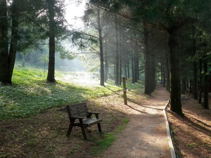 Log Cabin TRAIL in Spring.jpg
