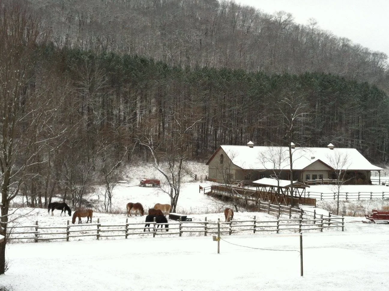 Horse Barn in winter 1.jpg
