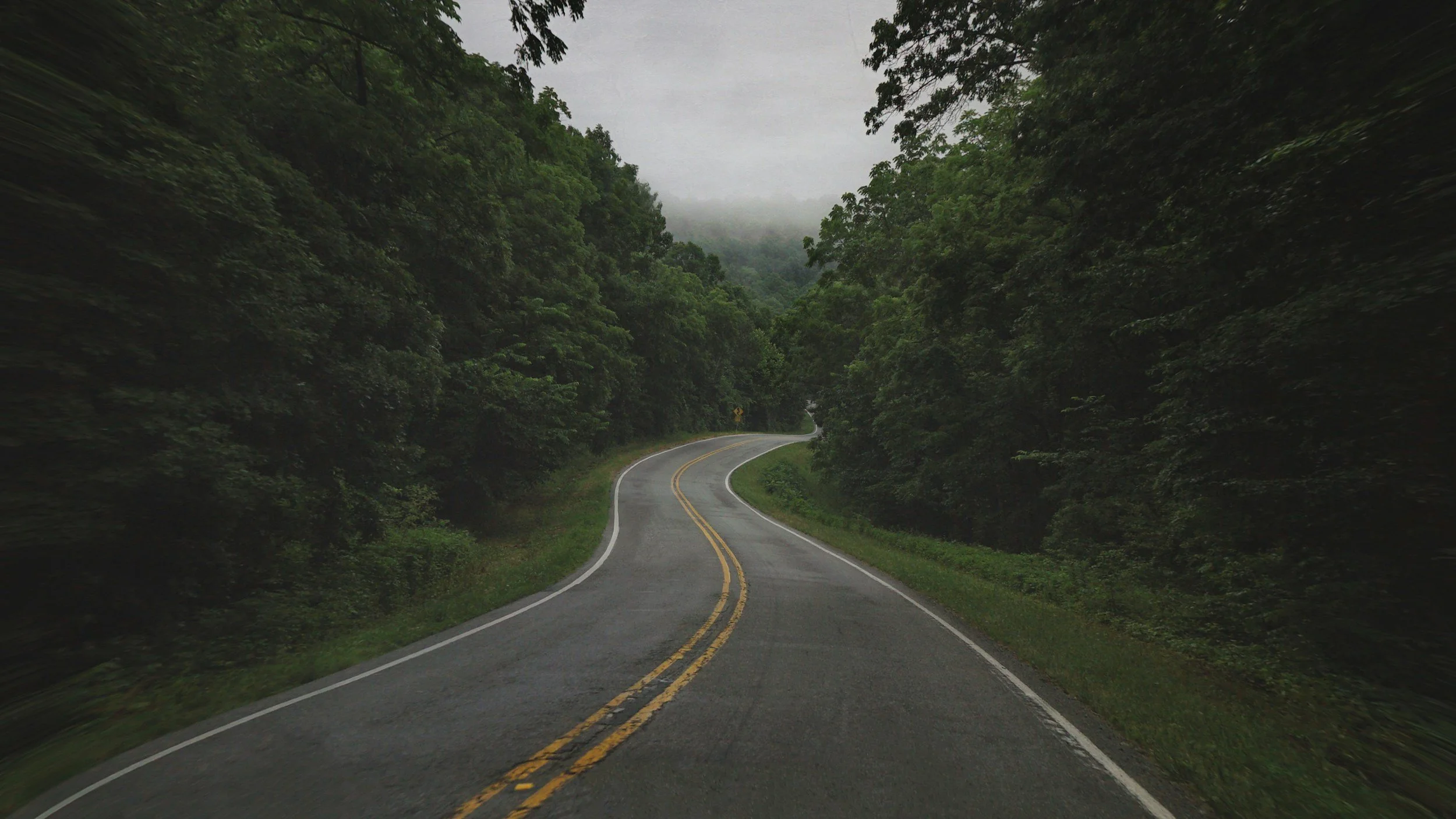 A winding two-lane road surrounded by dense green trees on both sides, with a foggy or overcast sky overhead.