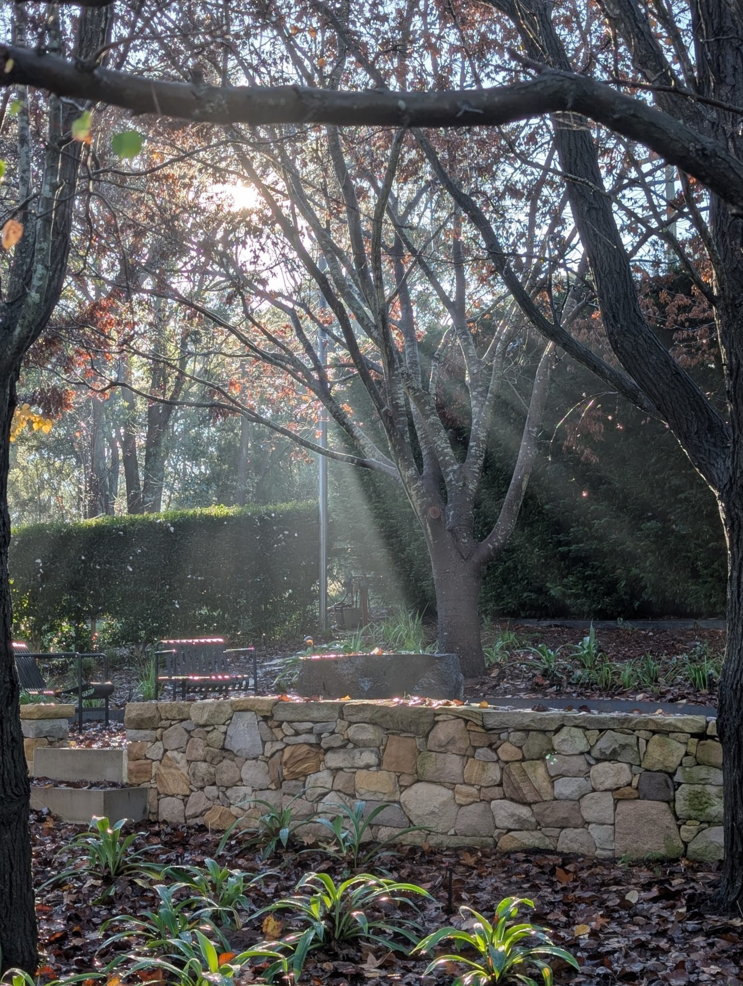 A sunlit garden surrounded by a sandstone wall, surrounded by trees. Sun rays filter through the leaves, shining over a water feature and elegant chairs.
