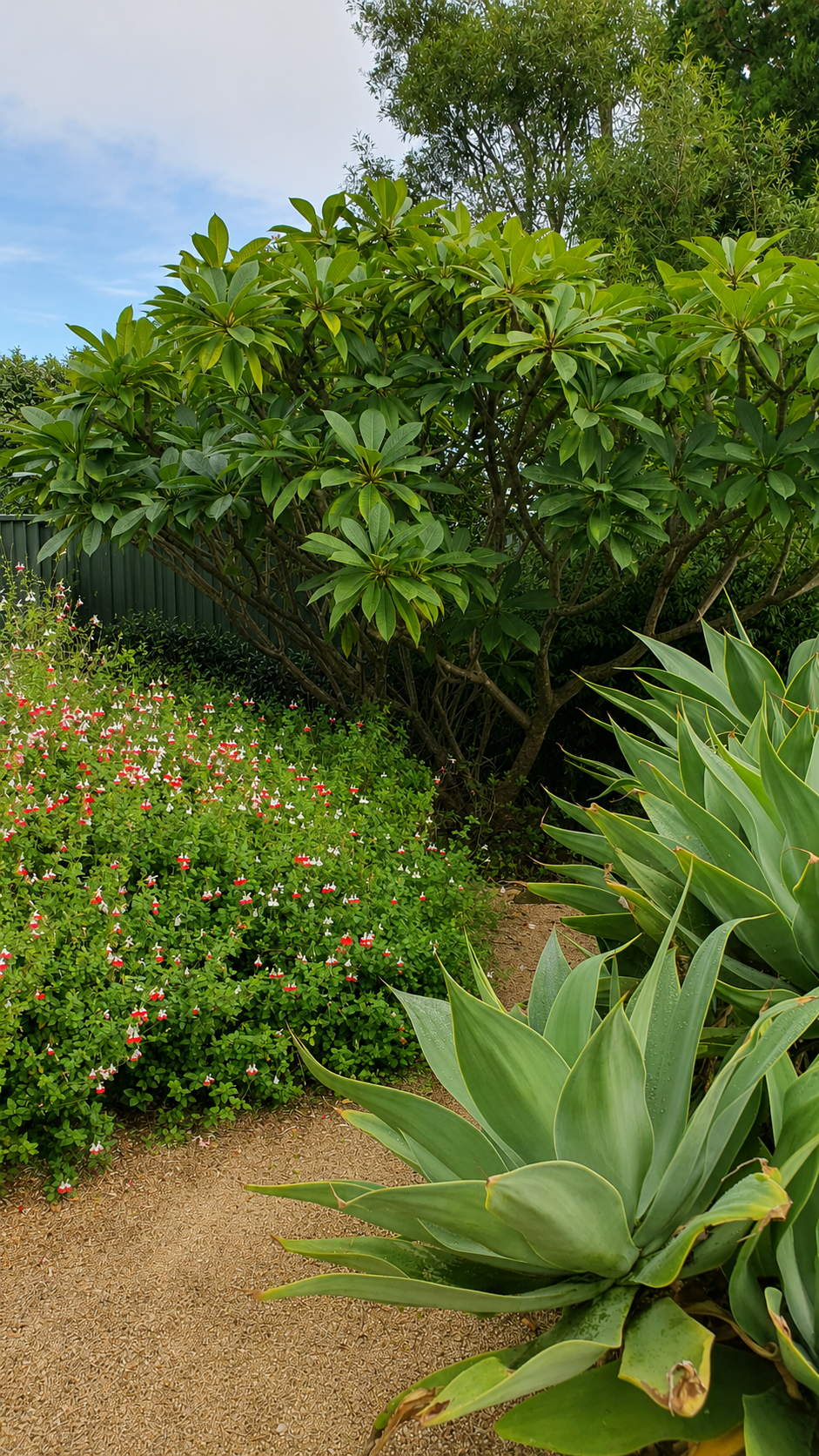 10 signs your garden wasn’t designed first