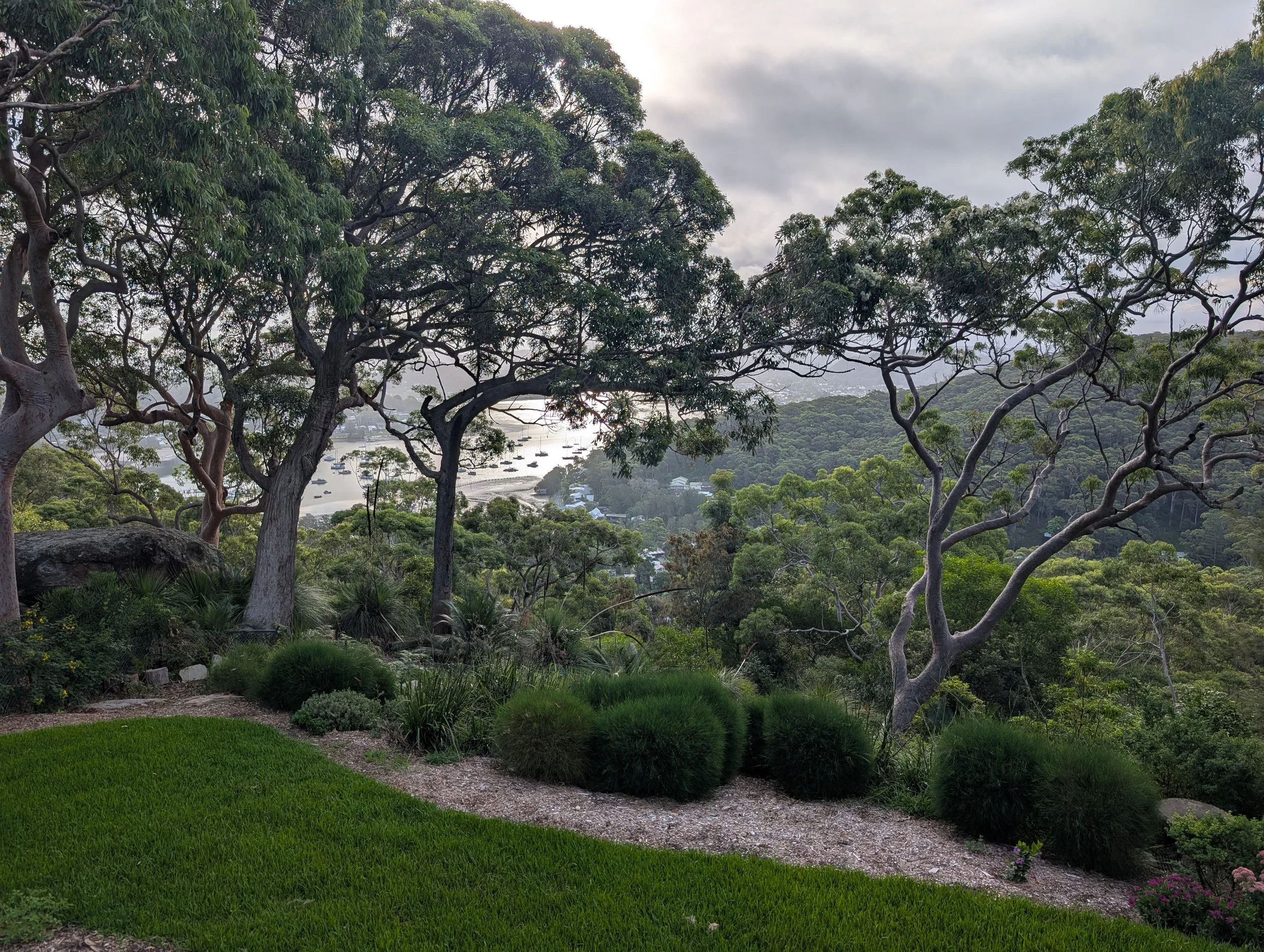 A lush garden with a well-maintained grassy lawn, various gum trees and casuarina shrubs looking out over a bay.