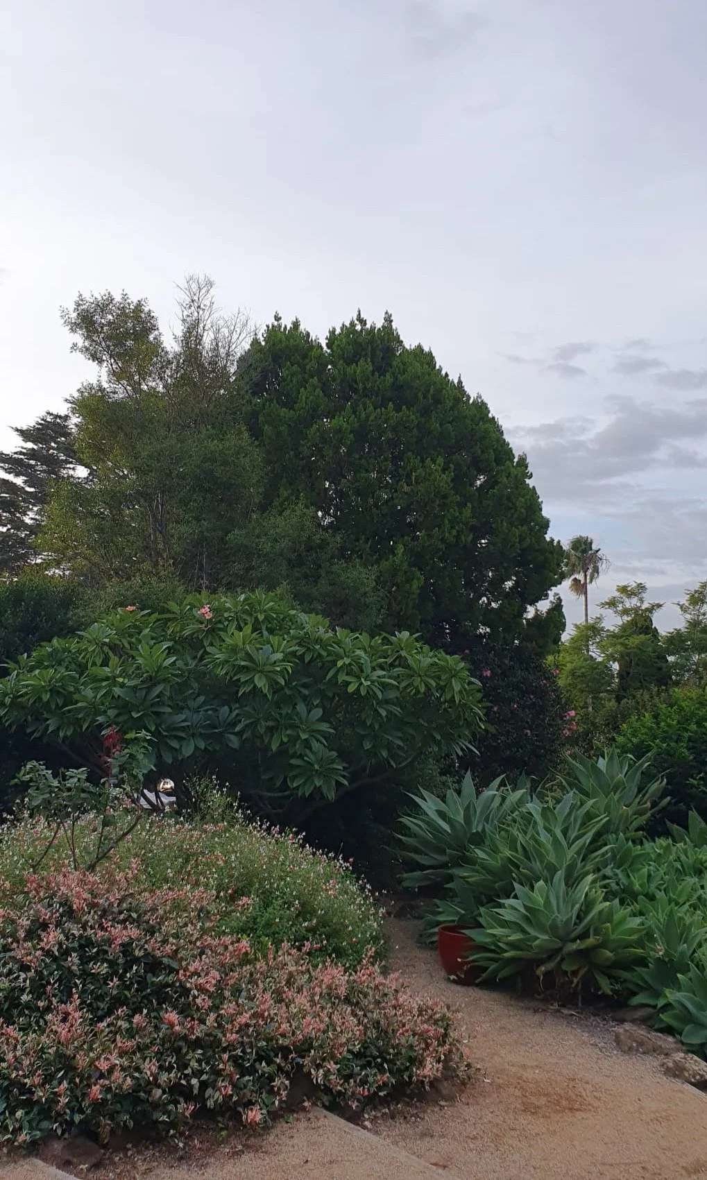An informal garden with low shrubs and trees surrounding a granite path, under a cloudy sky.