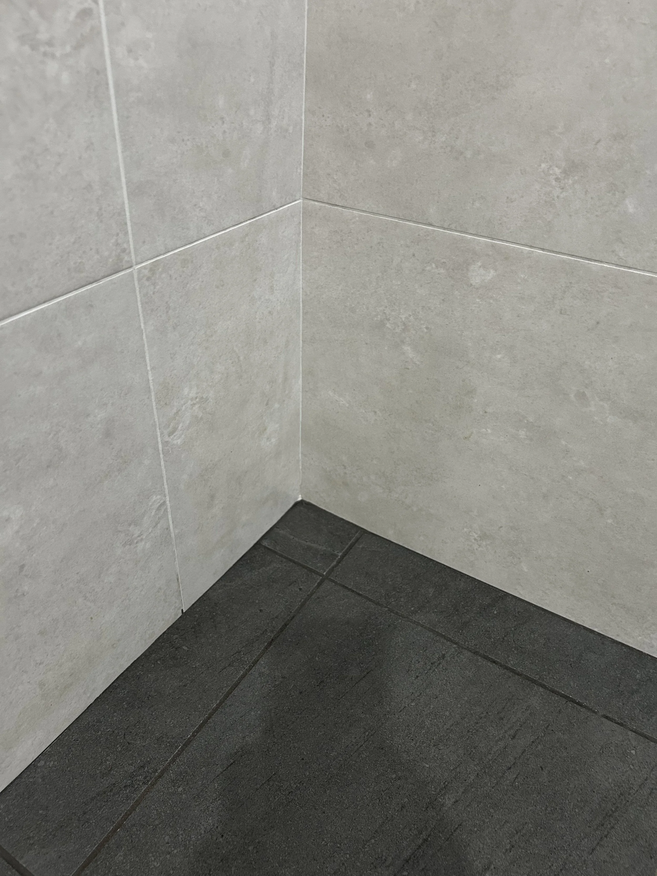 Cleaned shower grout 