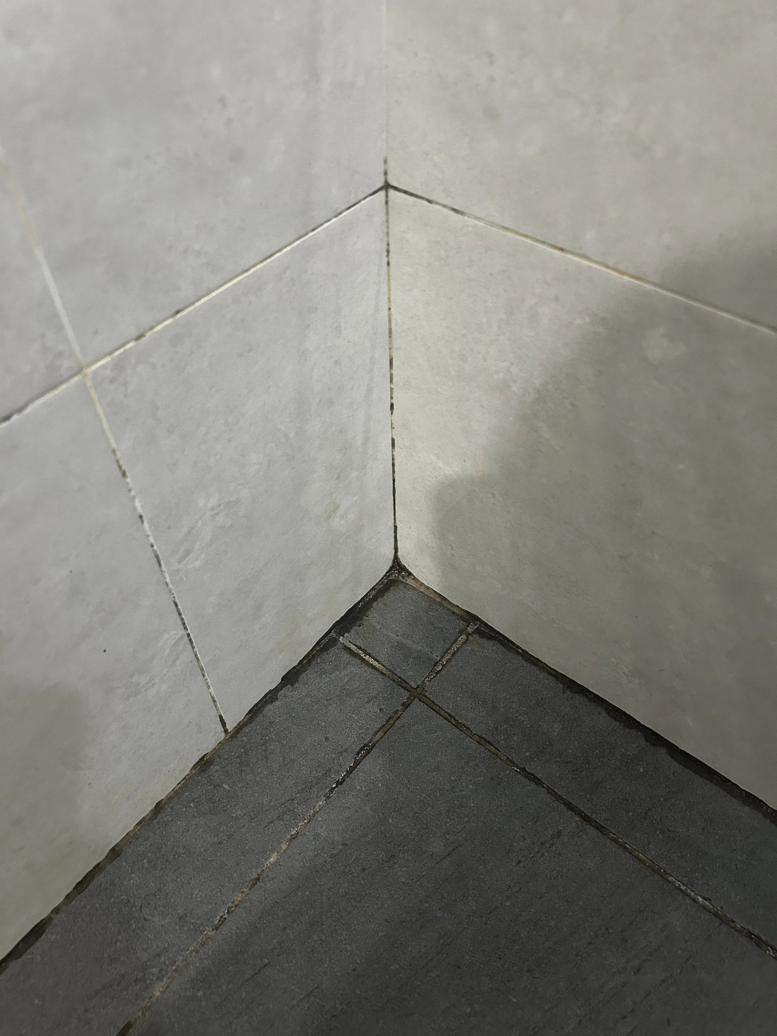 Mouldy shower grout 