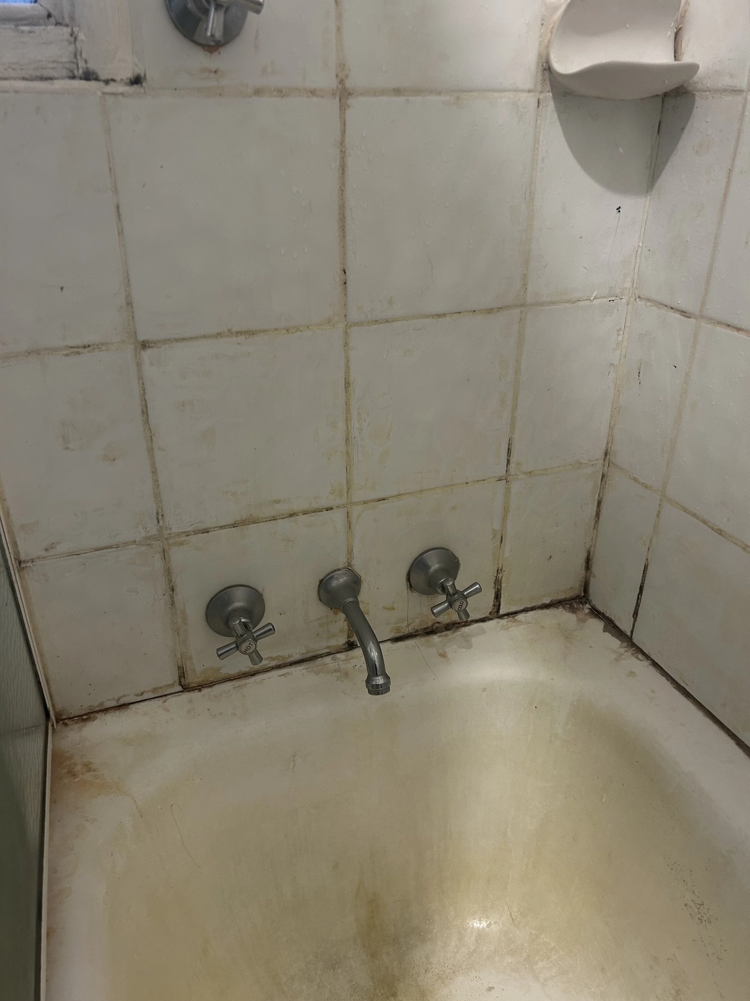 dirty shower/bath 