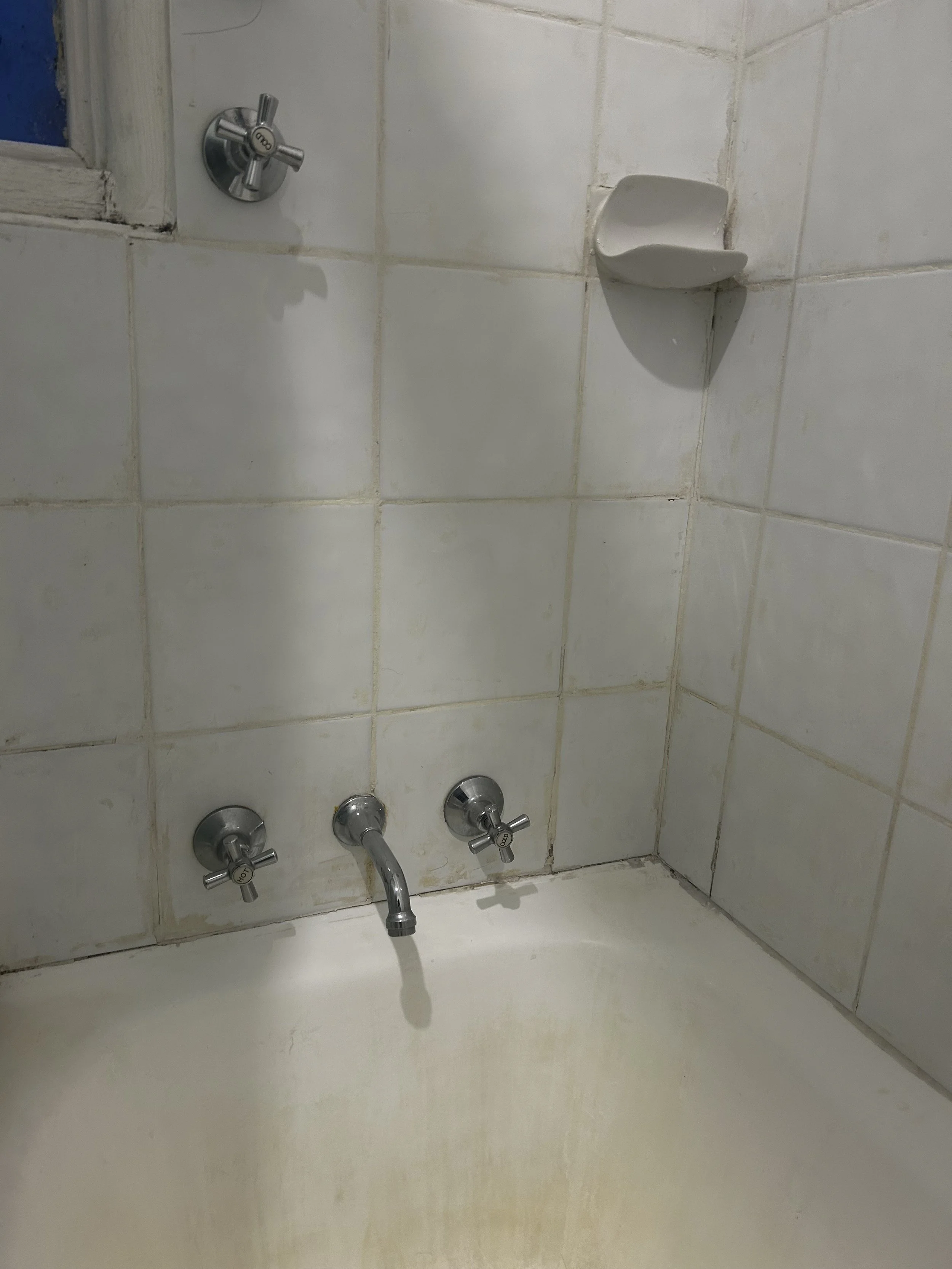 cleaned shower/bath 
