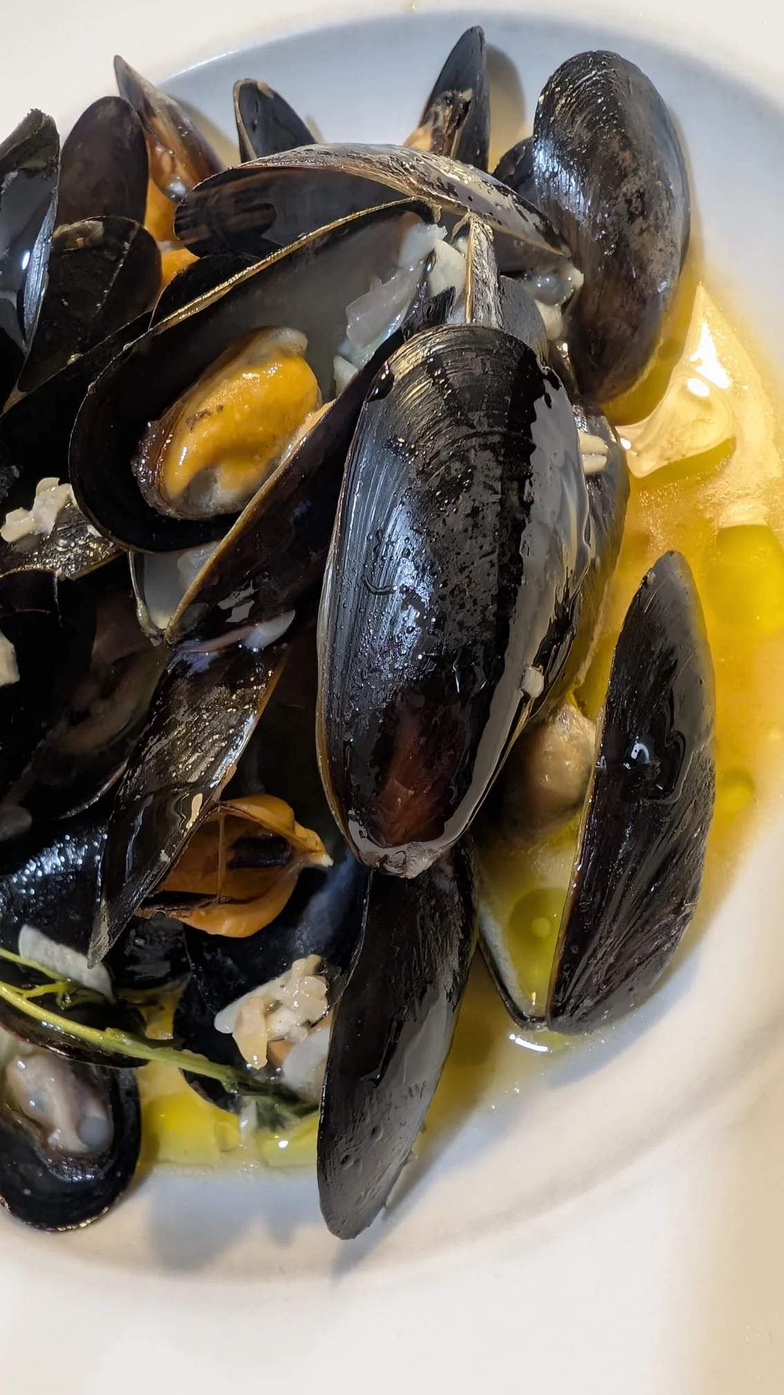 mussels2.JPG