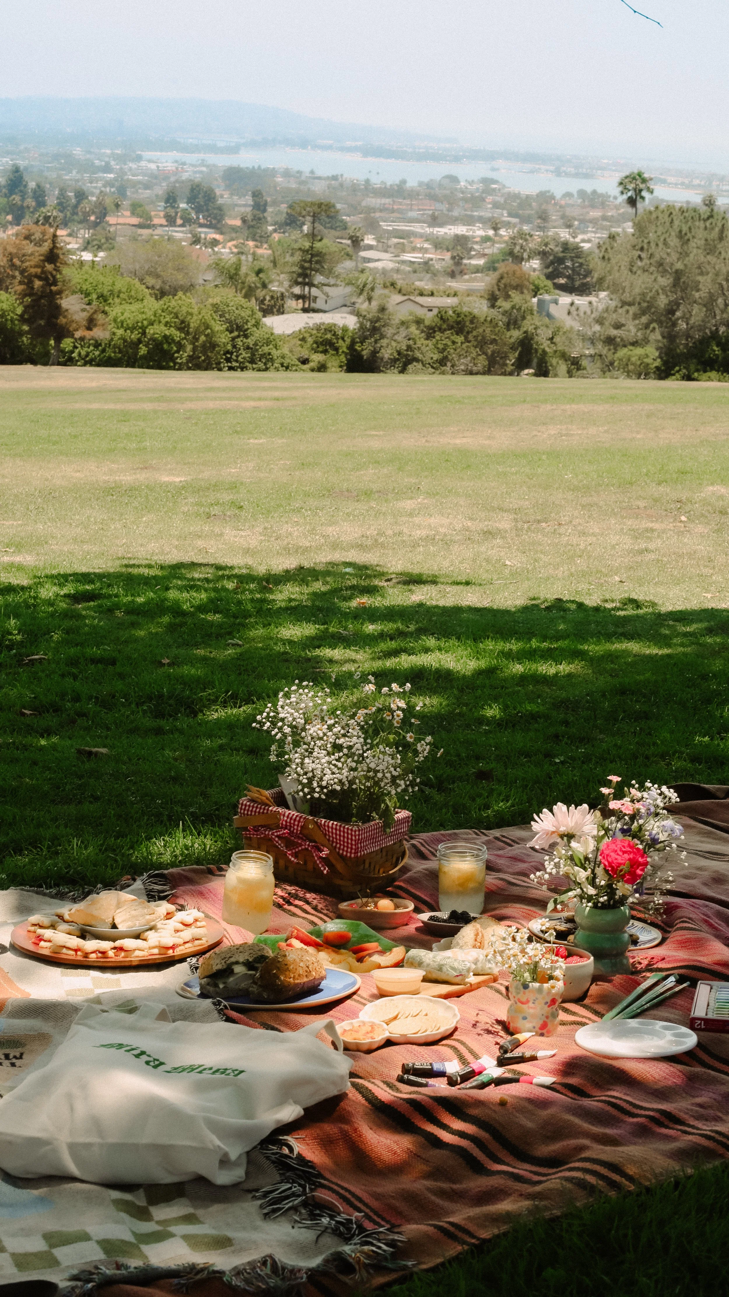 7.5.25 WTS Mock Picnic-13-2.jpg