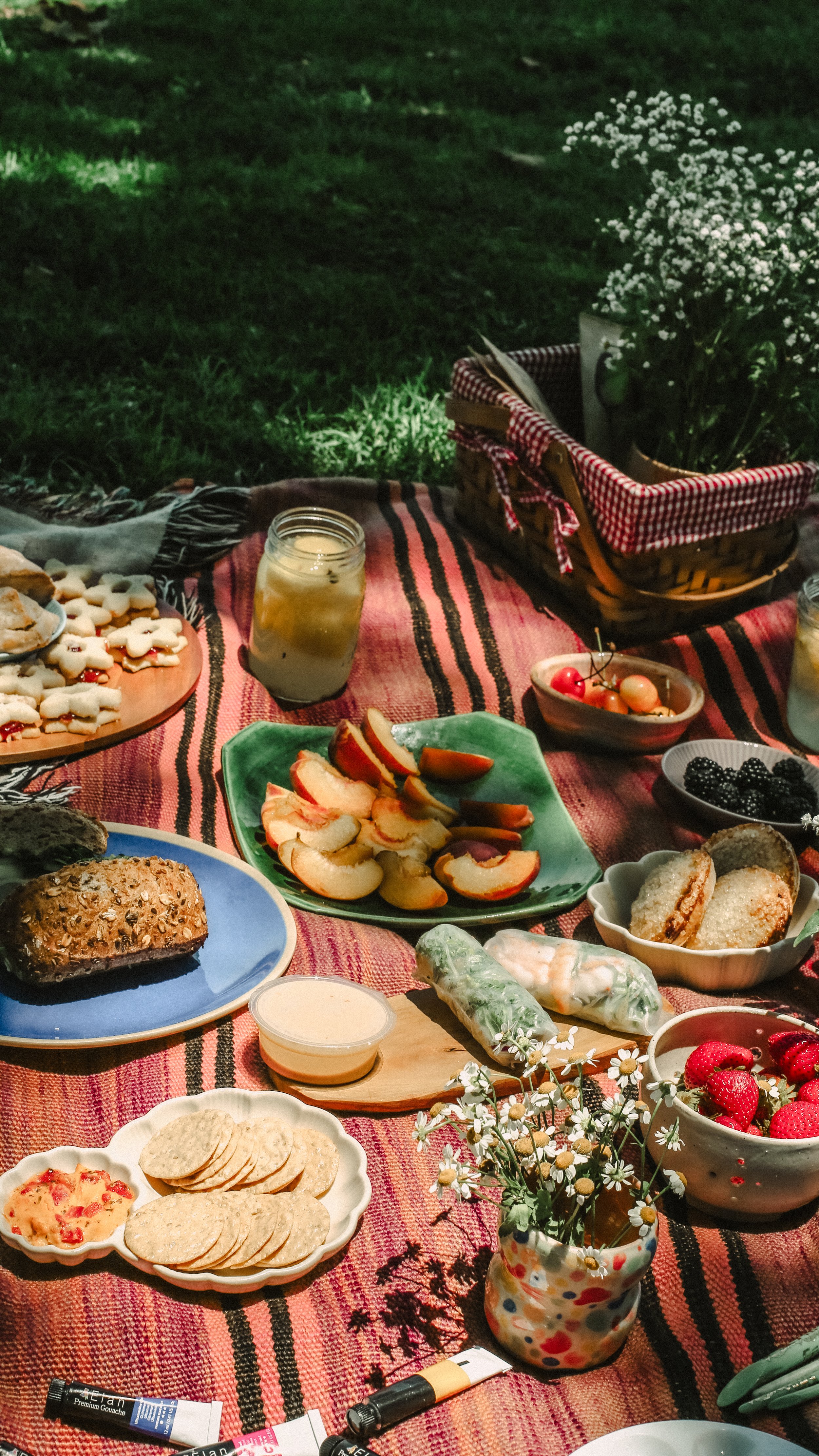 7.5.25 WTS Mock Picnic-11.jpg
