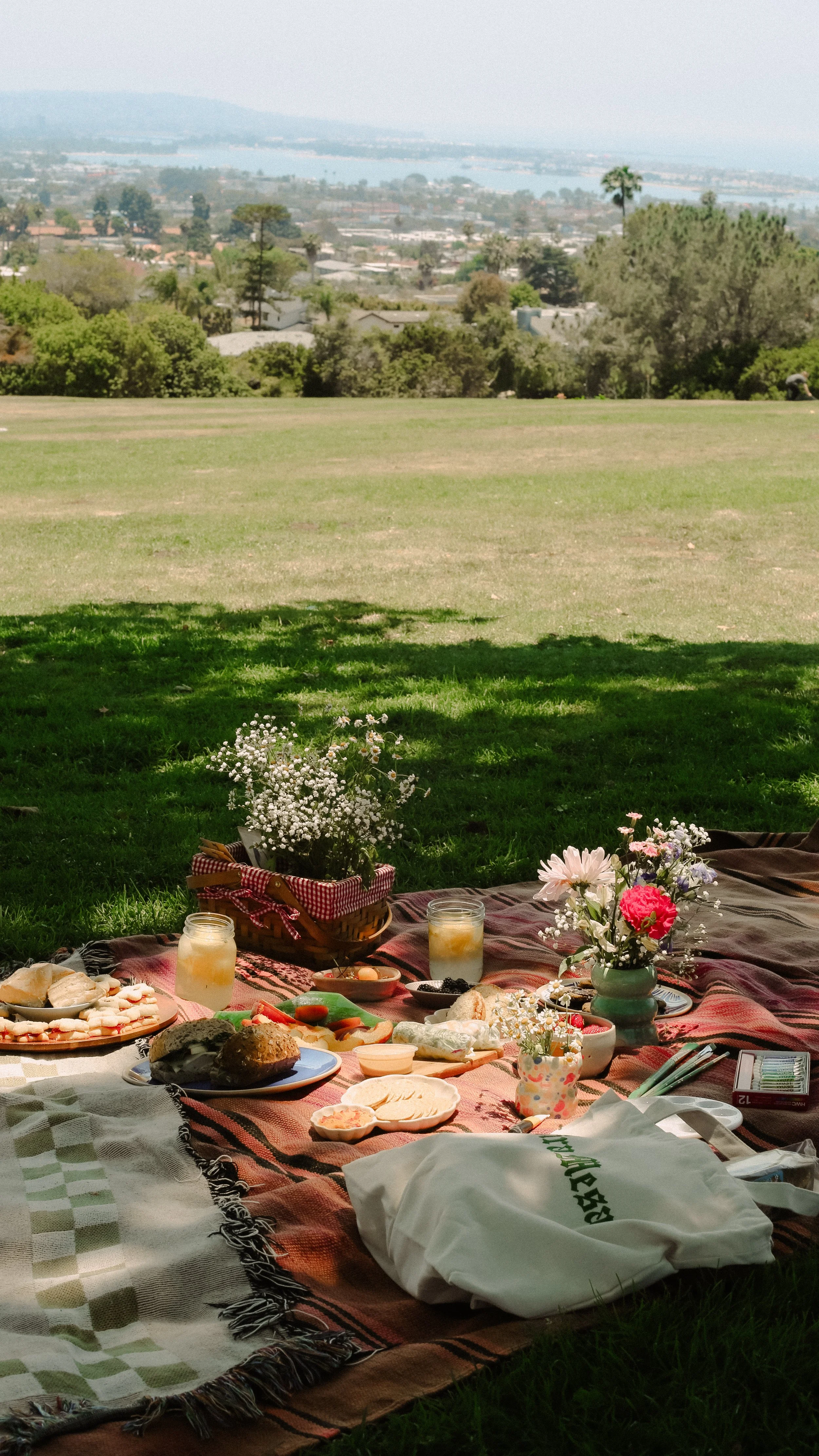 7.5.25 WTS Mock Picnic-12.jpg
