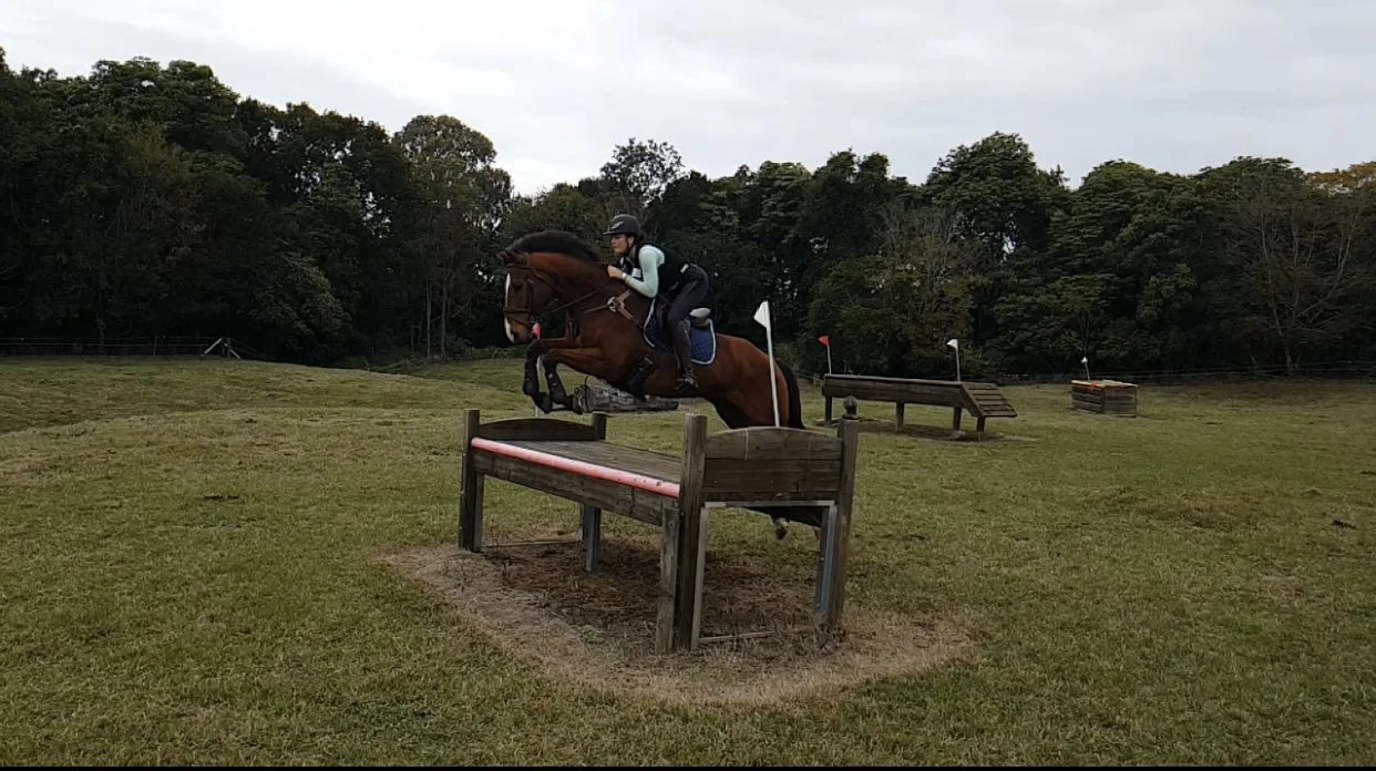 A person riding a horse over an obstacle in an outdoor equestrian training field with trees in the background.