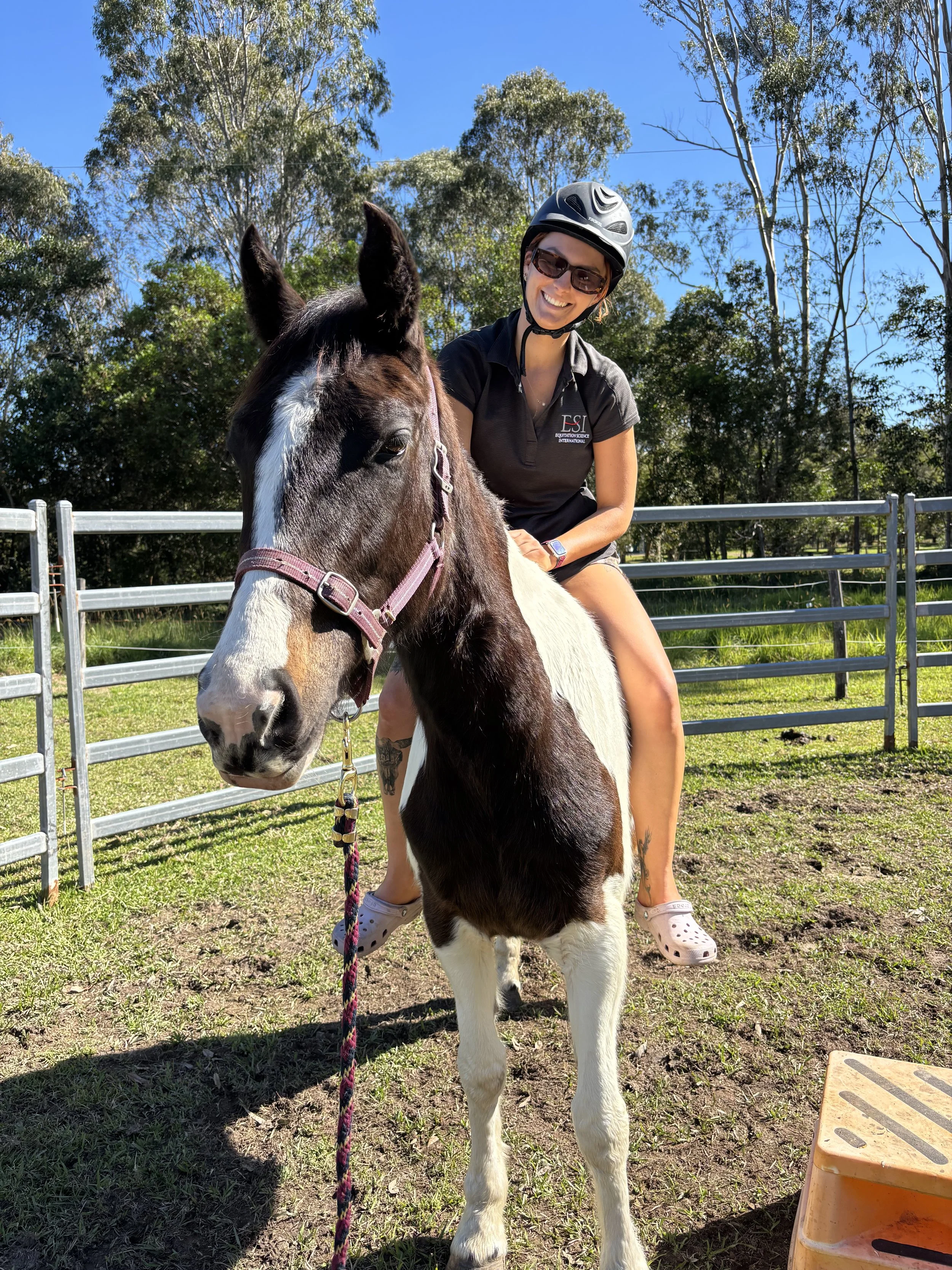 A woman with a helmet and sunglasses riding a black and white pinto horse in a grassy area with trees and a blue sky in the background.