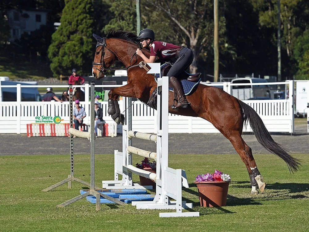 A rider in a maroon shirt and black helmet jumping over an obstacle on a brown horse at a show jumping competition.