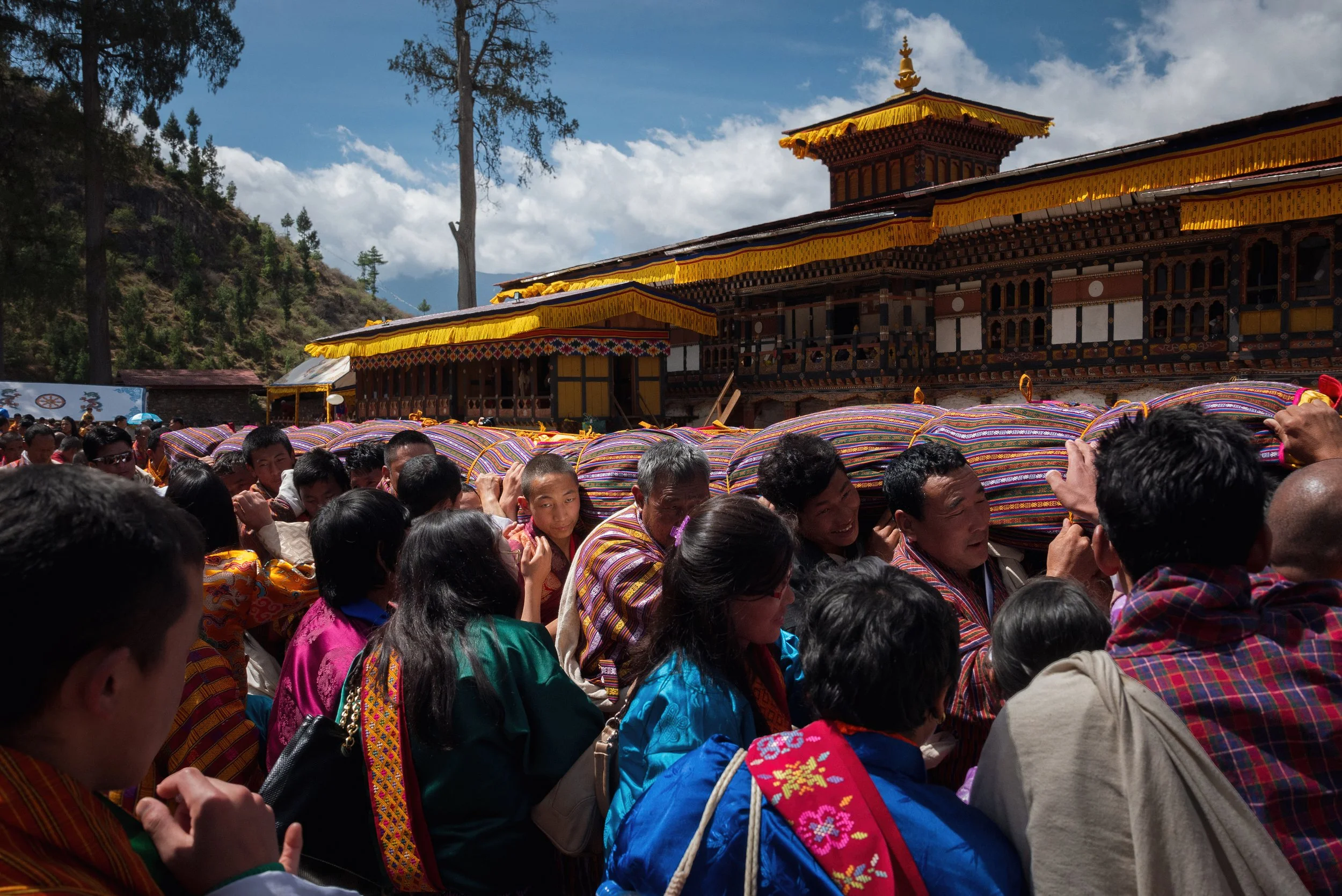 Paro_1-1-gigapixel-standard-scale-1_50x.jpg