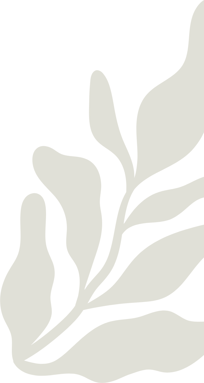 Silhouette of a branch with elongated leaves in olive green color.