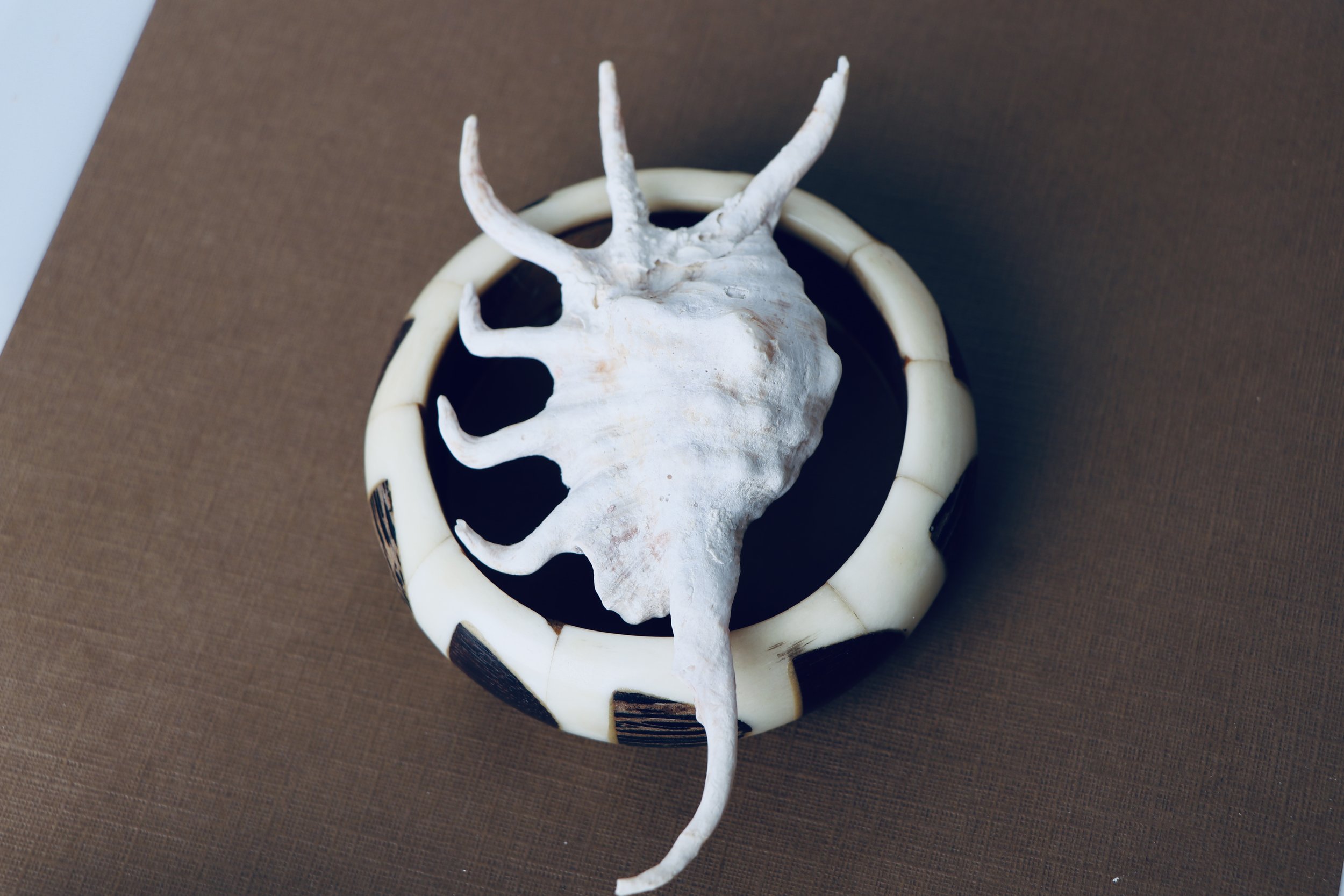 Vintage Ivory Bangle