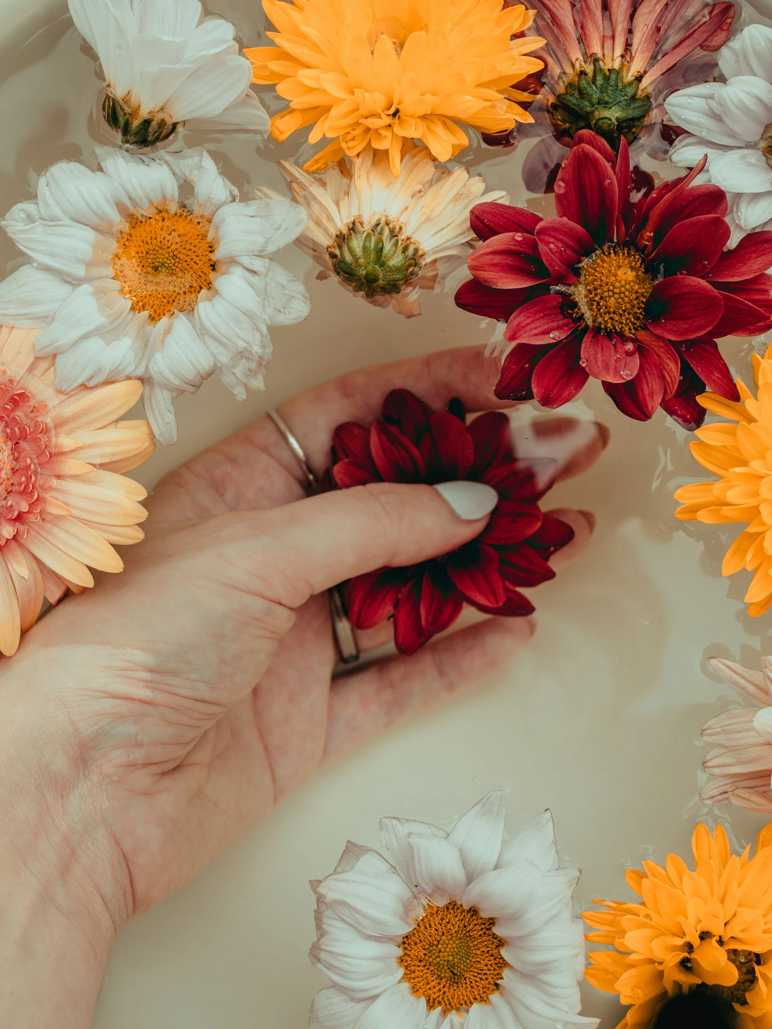 Le focus Astro-Karmique