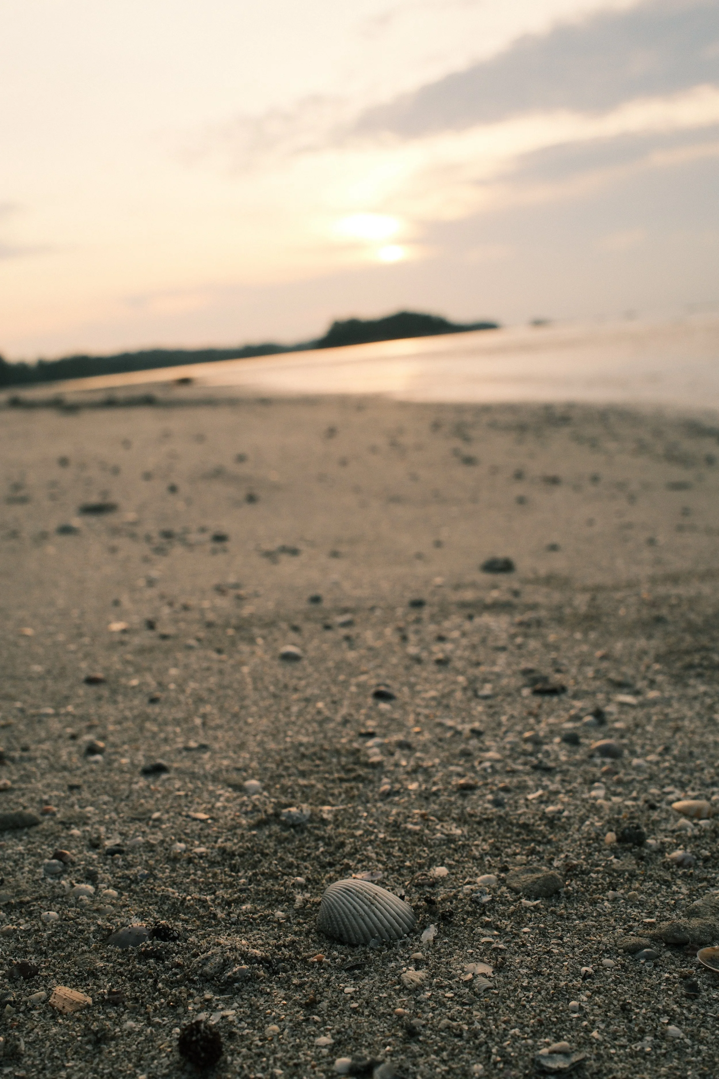 DSCF1611.JPG