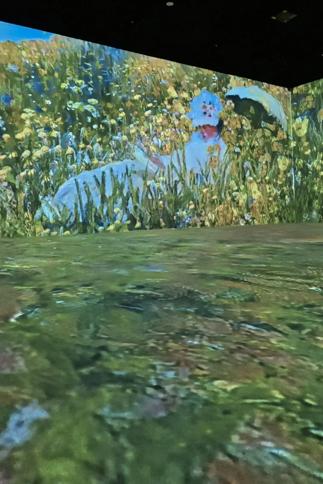 Screenshot_20260726_214614_Gallery.jpg