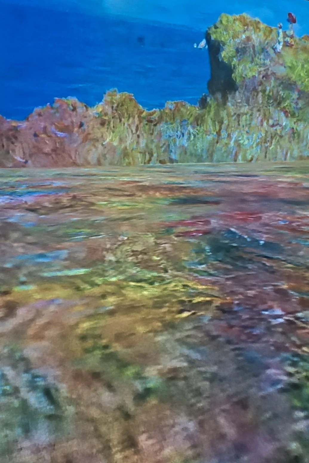 Screenshot_20260726_214528_Gallery.jpg