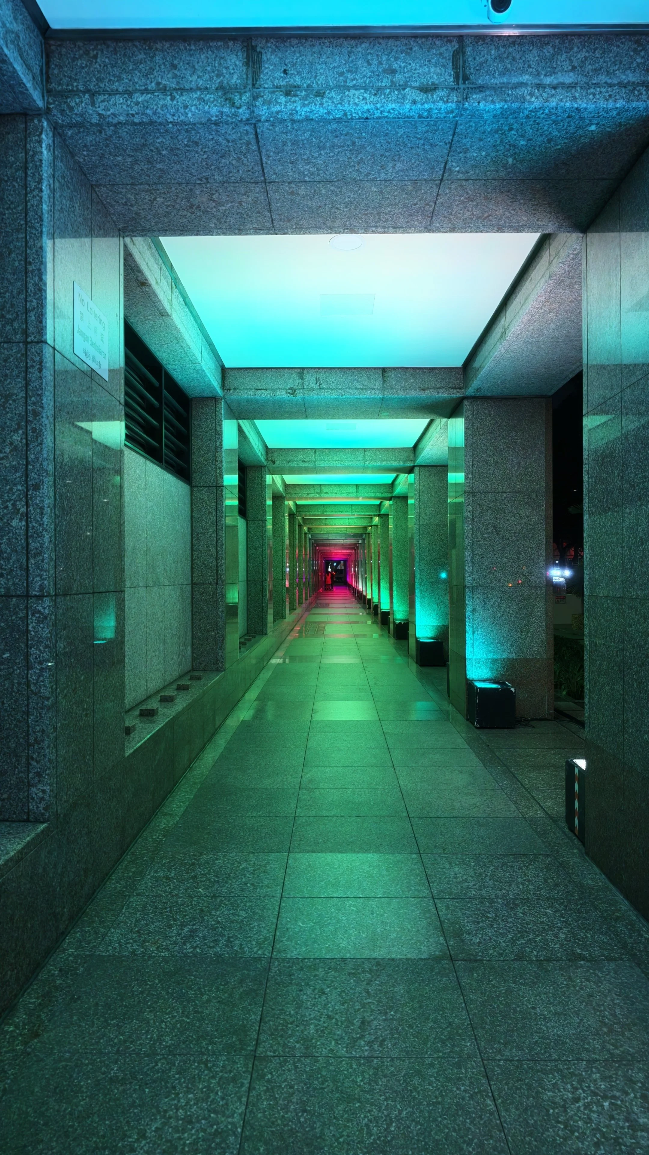 20260806_124815_981.jpg