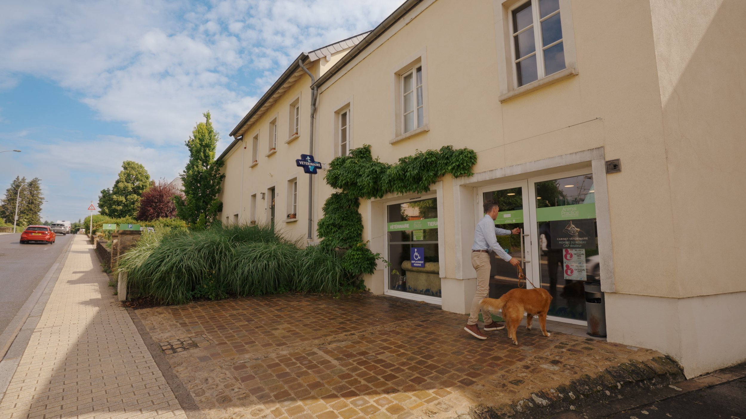 animal-practice-luxembourg-chirurgie-veterinaire-contact.jpg