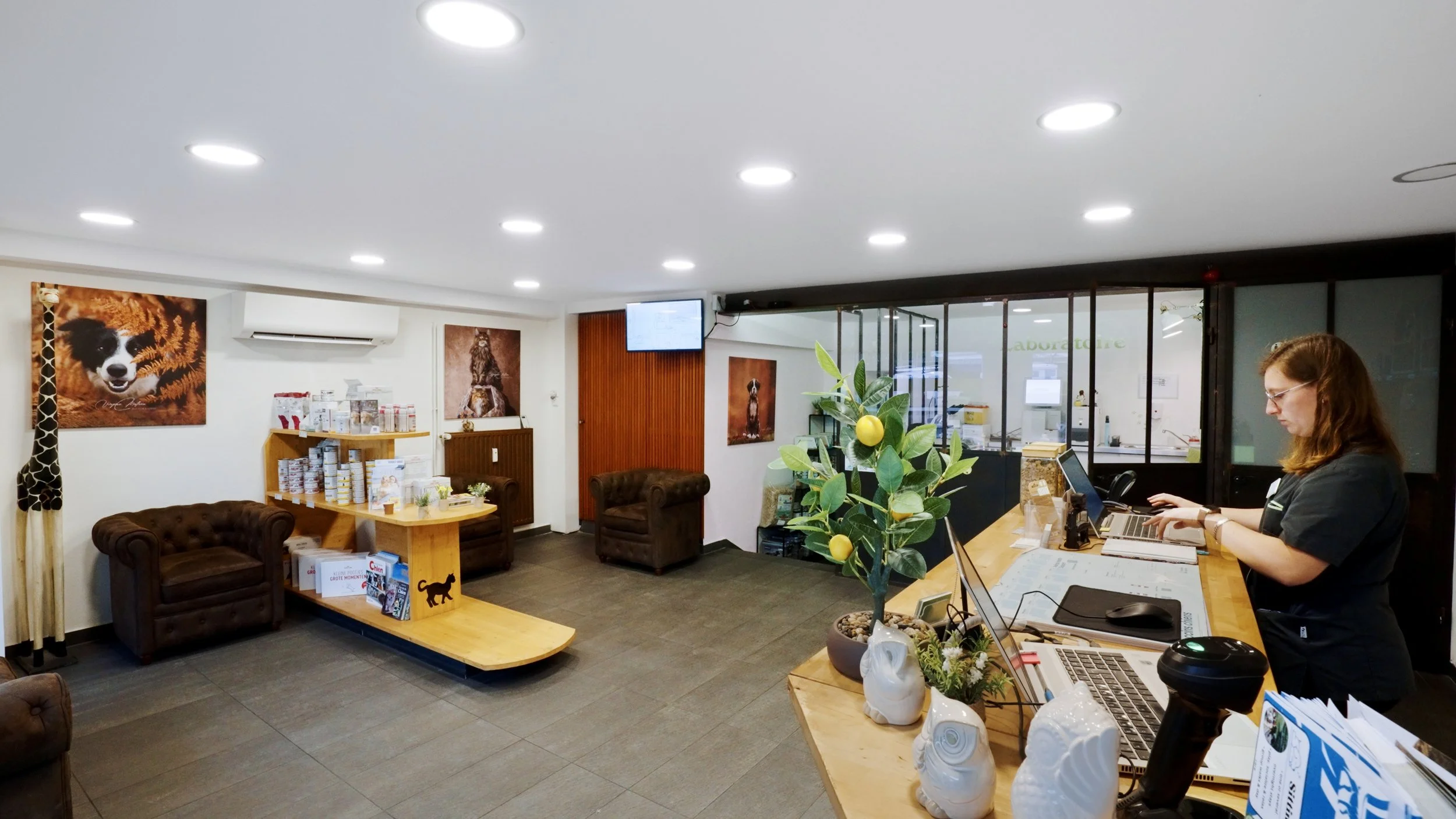 animal-practice-munsbach-clinique-veterinaire-home.jpg