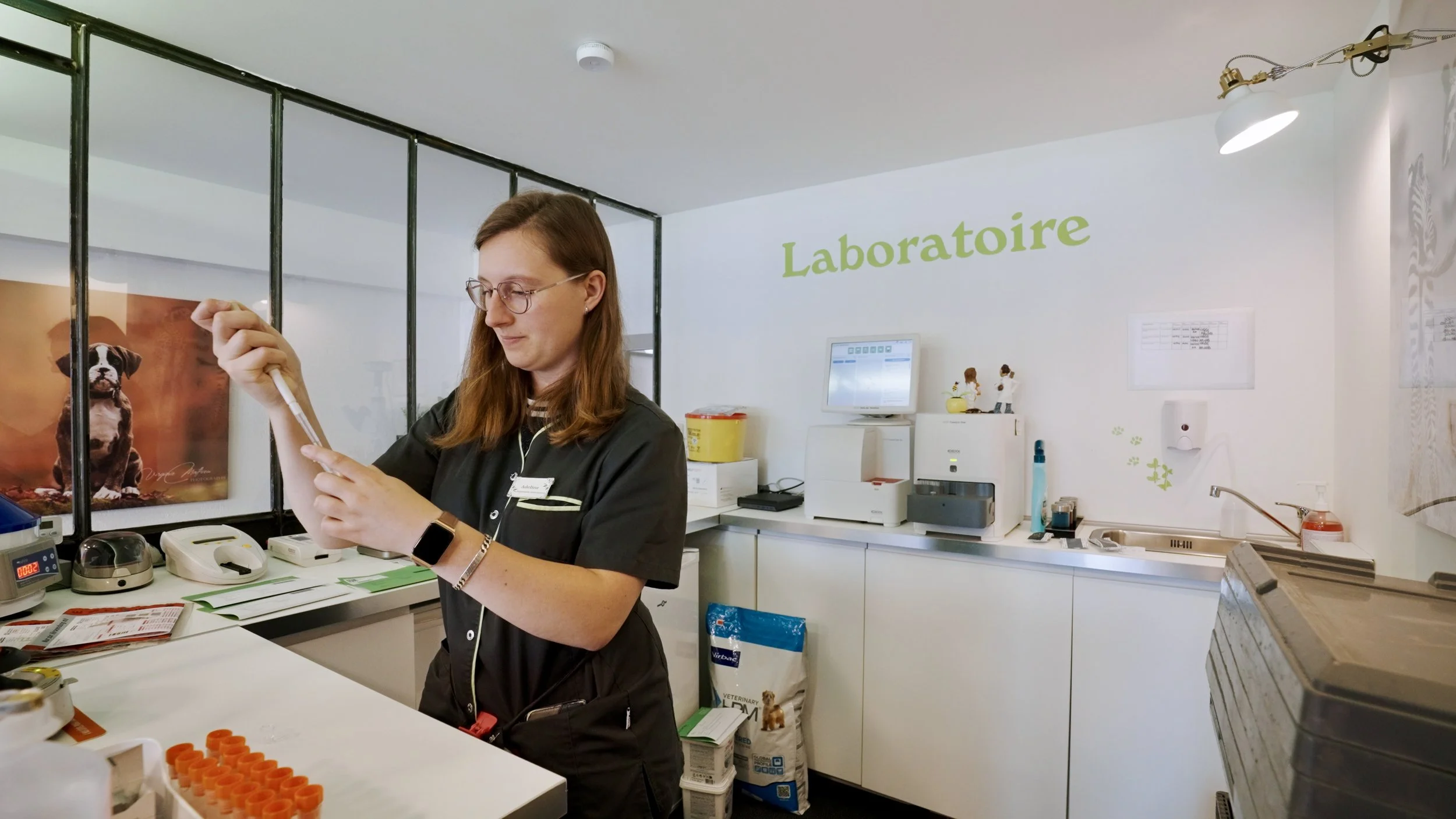 Équipe vétérinaire d'Animal Practice accueillant les patients dans la clinique à Munsbach, Luxembourg.