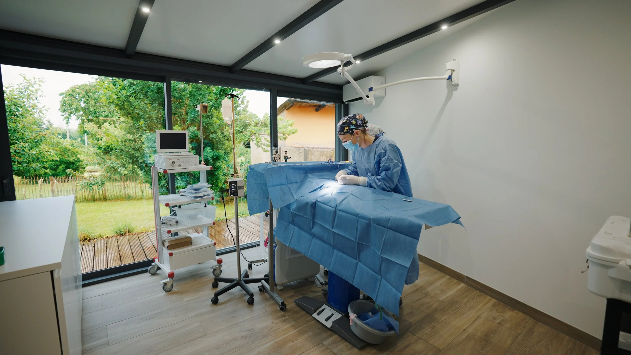 animal-practice-luxembourg-chirurgie-veterinaire-expertise.jpg