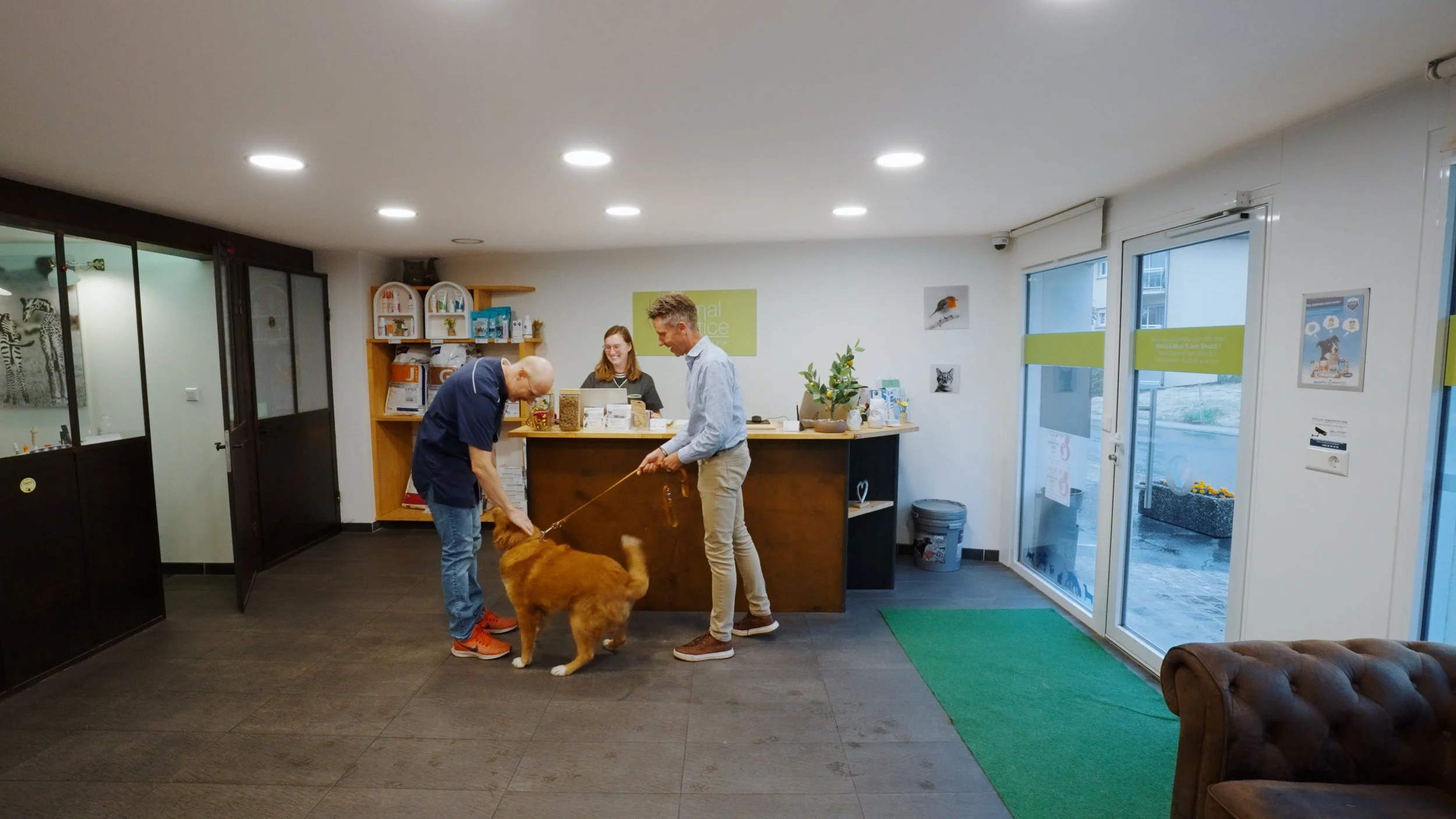 animal-practice-munsbach-clinique-veterinaire-welcome.jpg