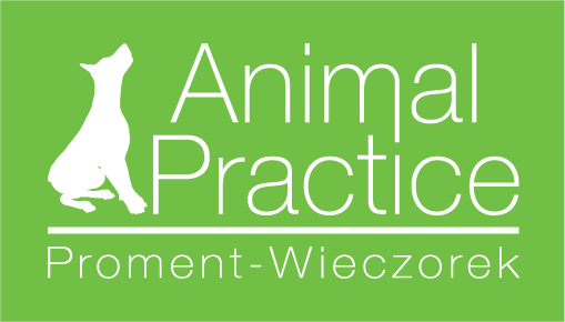 Animal Practice