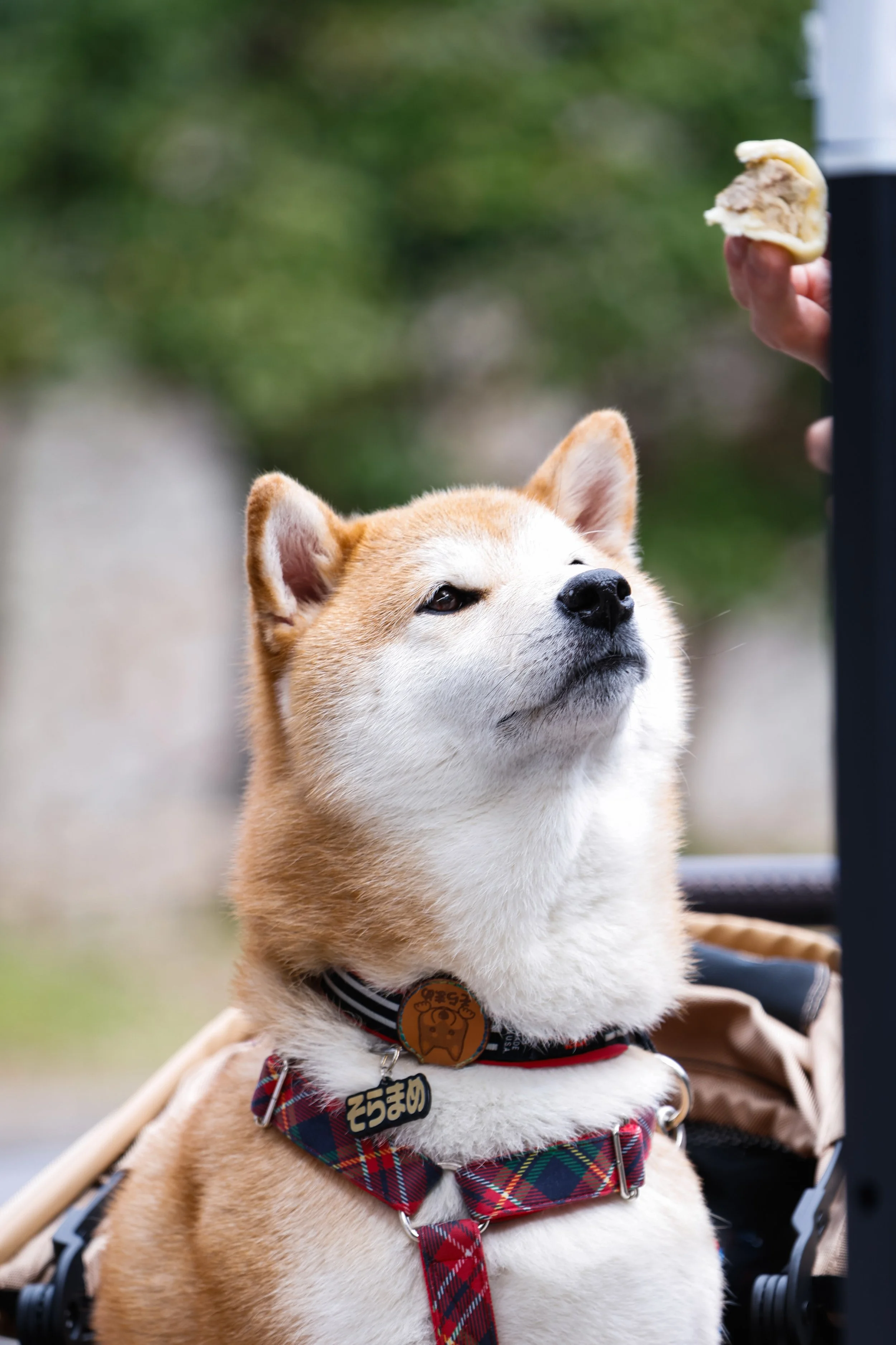 _MG_0024.JPG
