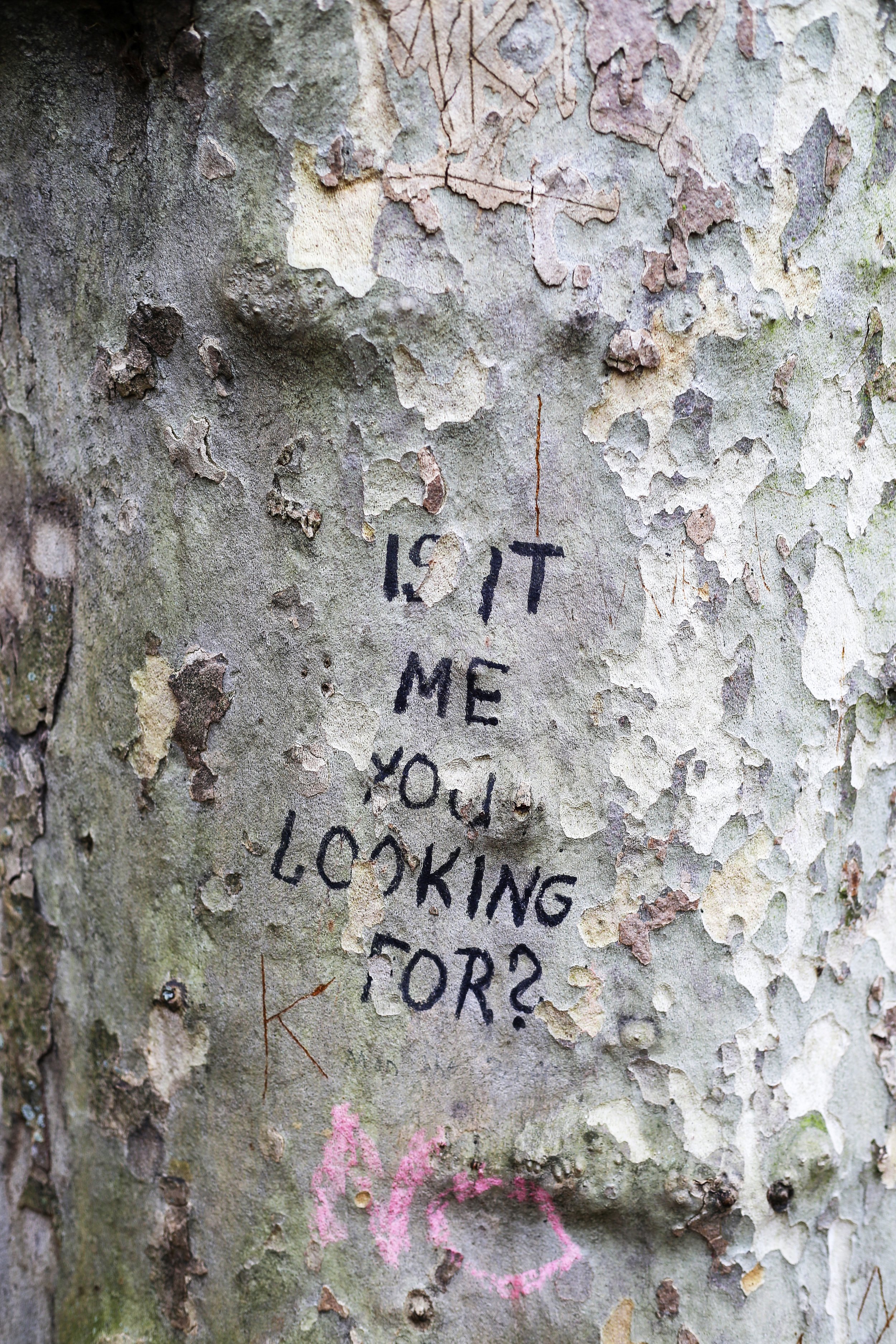 is it me you looking for?