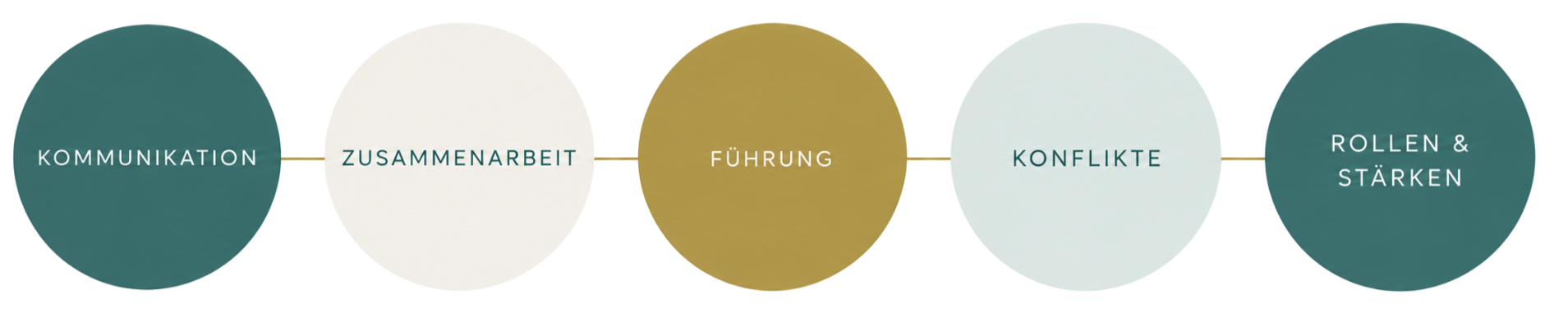 LINC Personality Profiler im Team: Persönlichkeit verstehen und Zusammenarbeit, Kommunikation, Führung, Konfliktklärung sowie Rollen und Stärken stärken.