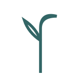 Minimalistisches Ast-Icon in Petrol – Symbol für Klarheit und Orientierung im Führungskräfte-Coaching