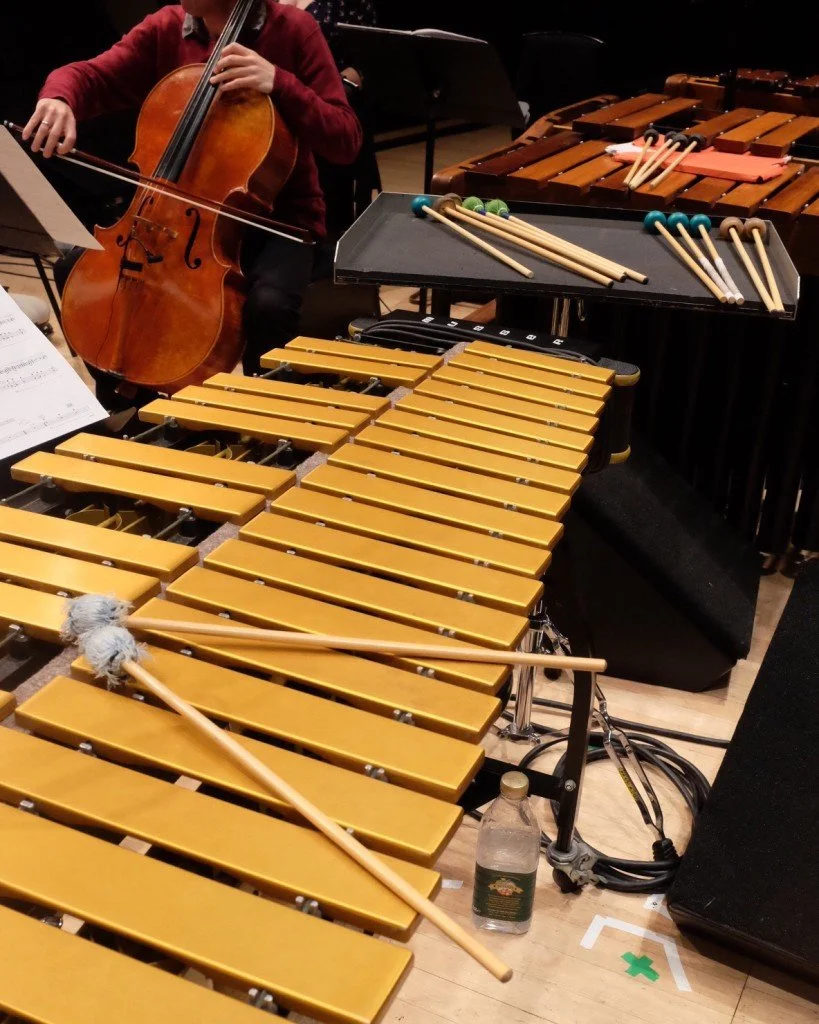 Colin-Currie-Group-Music-for-18-Musicians-14_credit-Dolly-Brown-@londonlivingdoll-1-819x1024.jpg