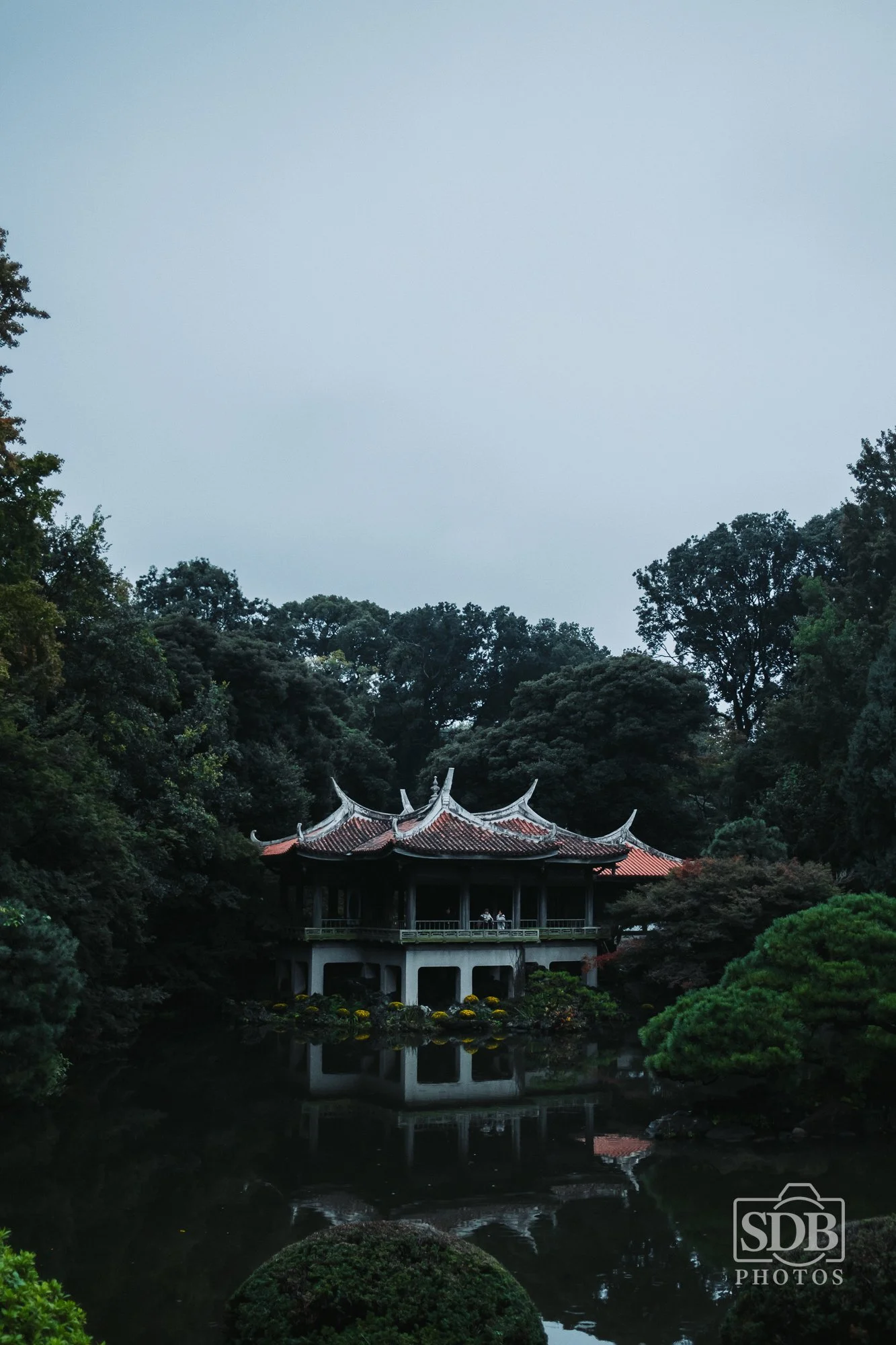 Tokyo-251109-SDBPhotoz-3.jpg